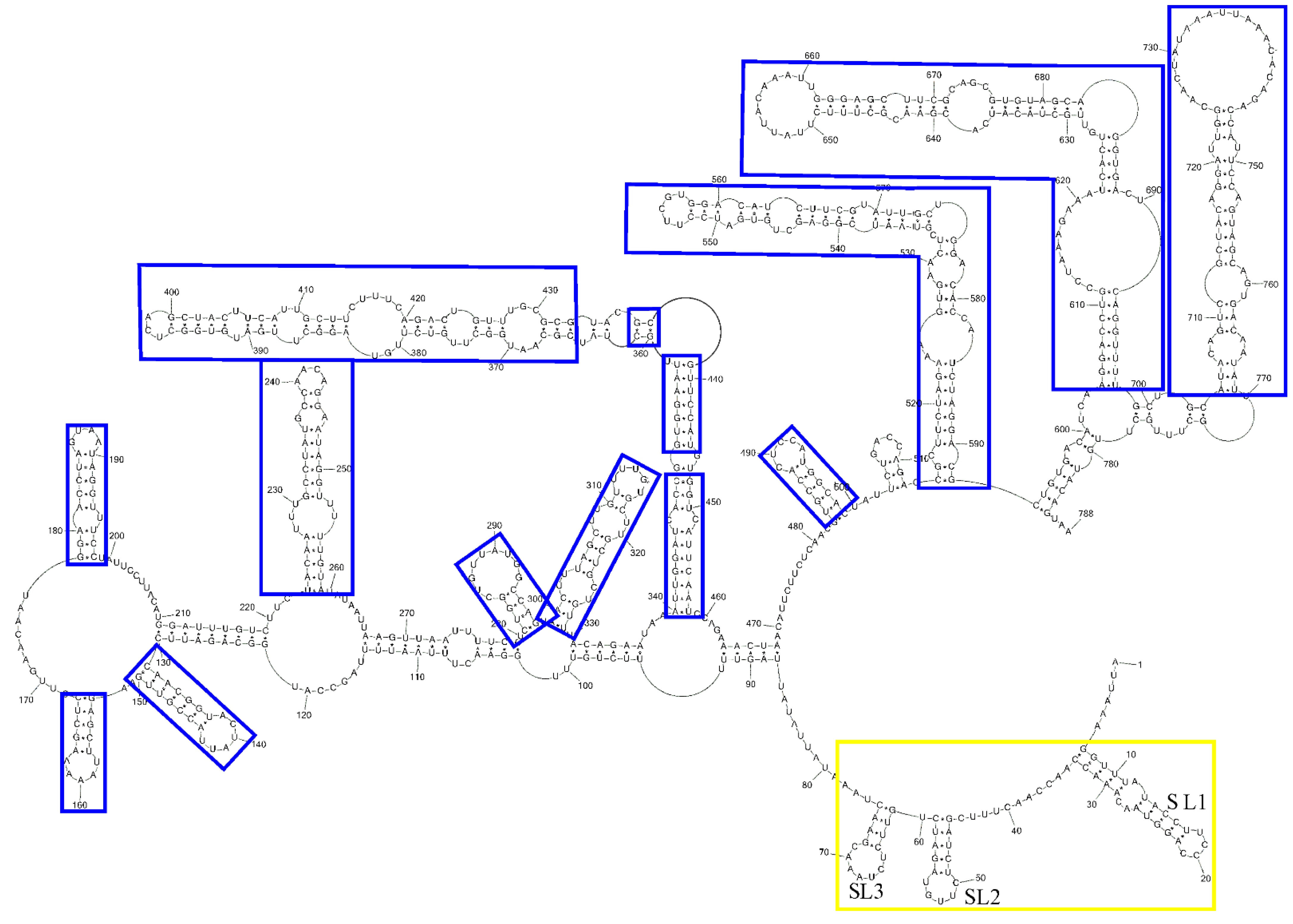 Viruses 14 00322 g003