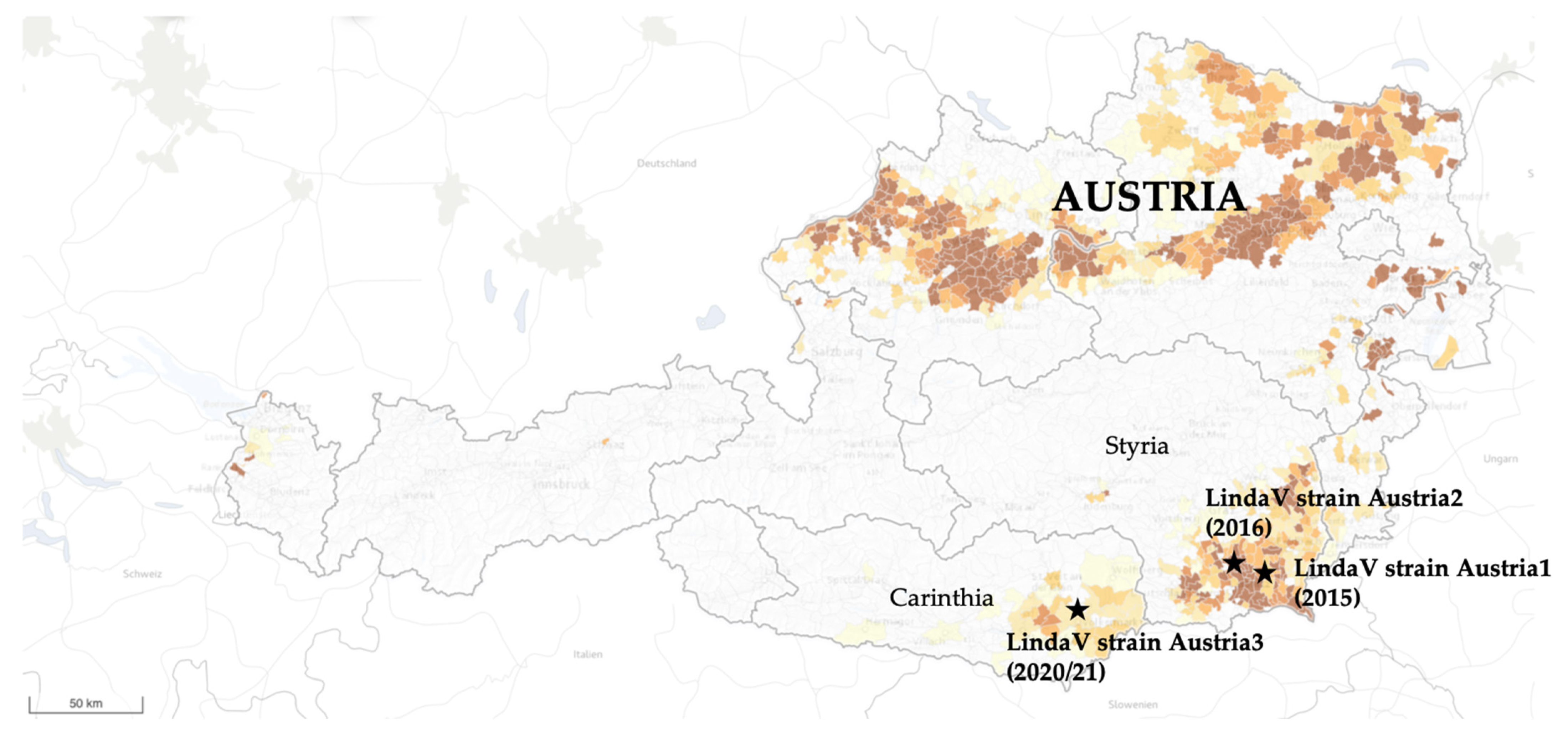 Viruses 14 00326 g001