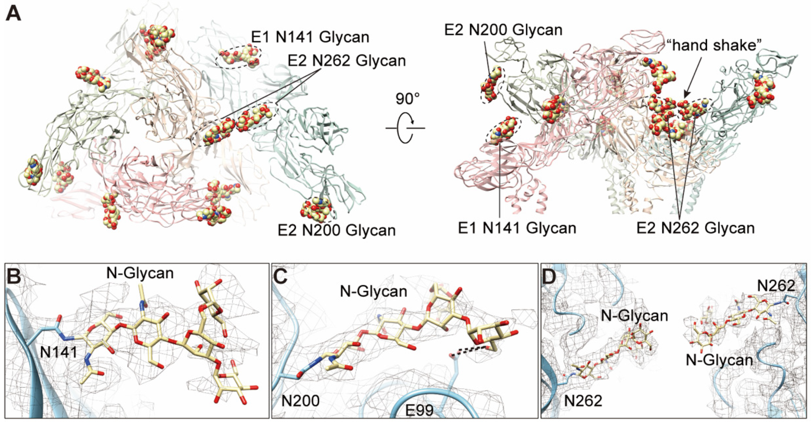 Viruses 14 00327 g006 Viruses 14 00327 g006