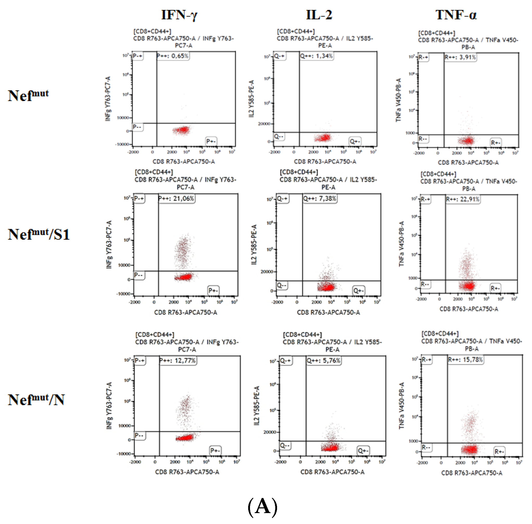 Viruses 14 00329 g002a