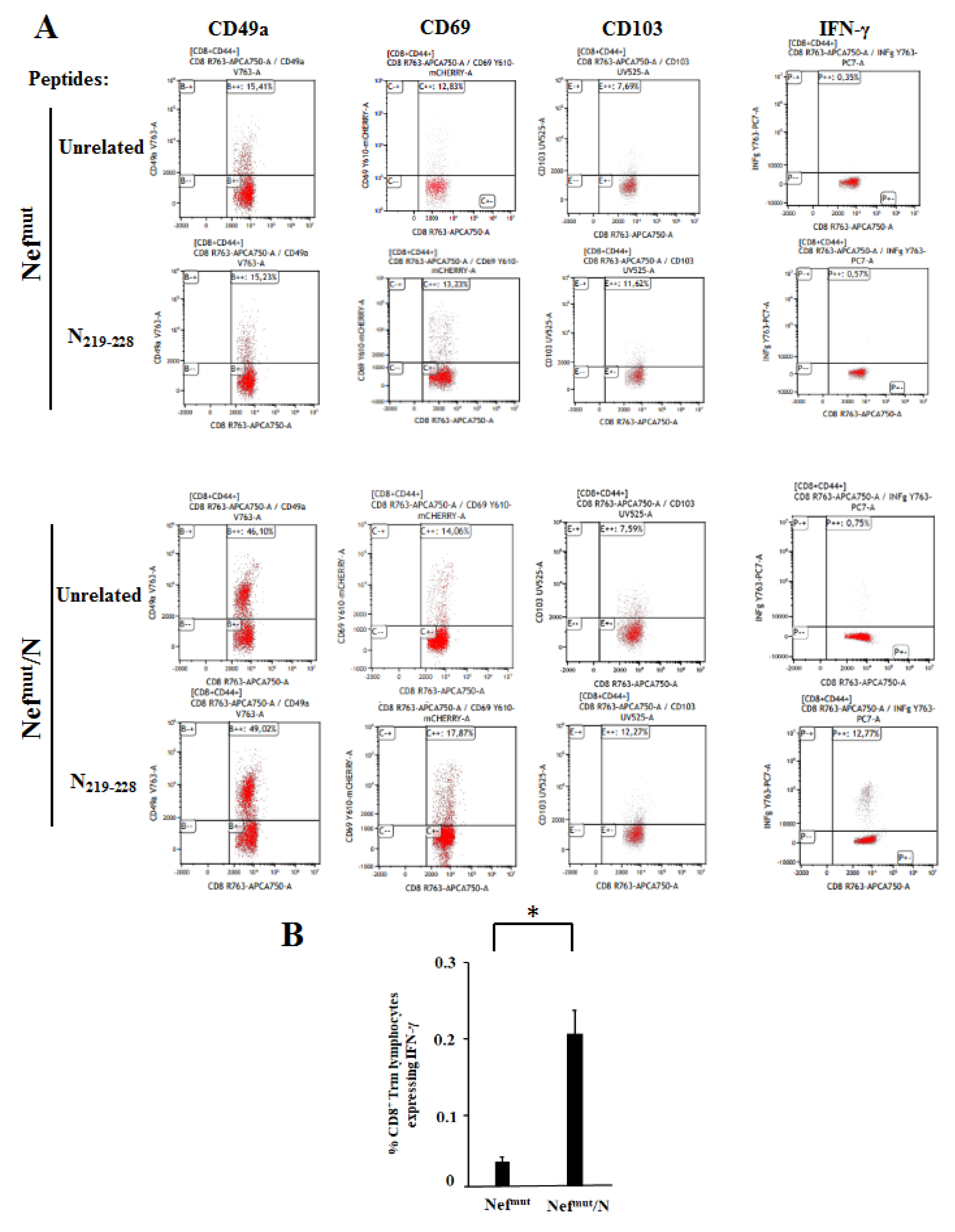 Viruses 14 00329 g005