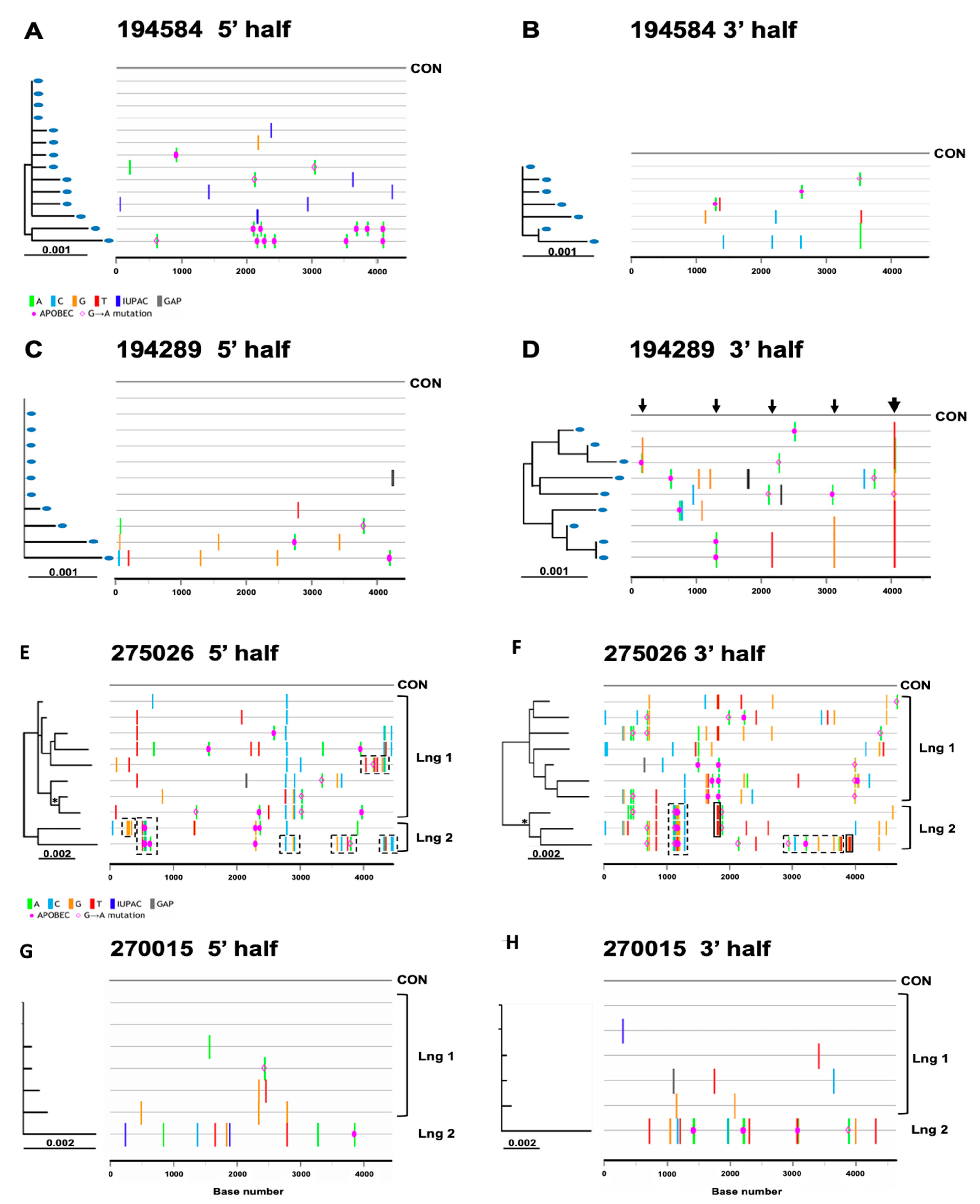 Viruses 14 00334 g004 Viruses 14 00334 g004