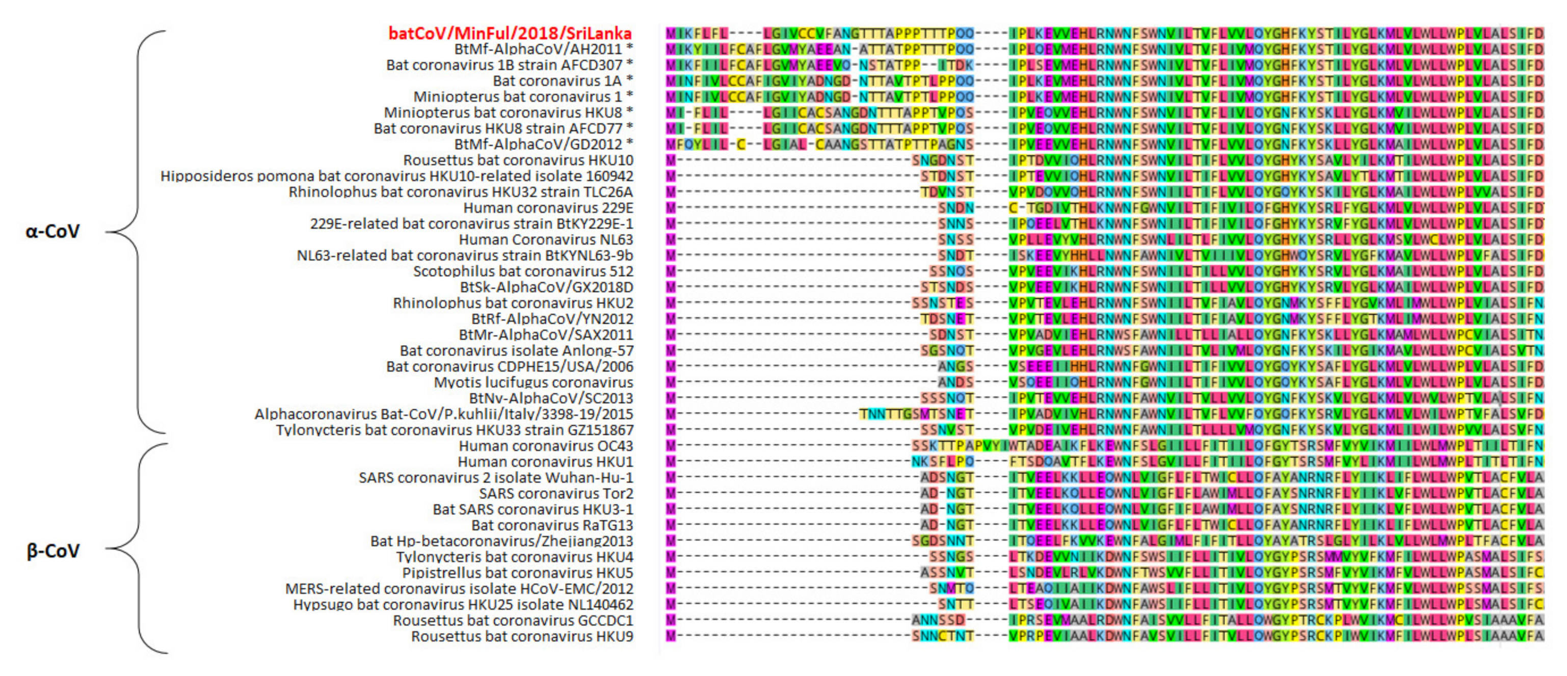 Viruses 14 00337 g002