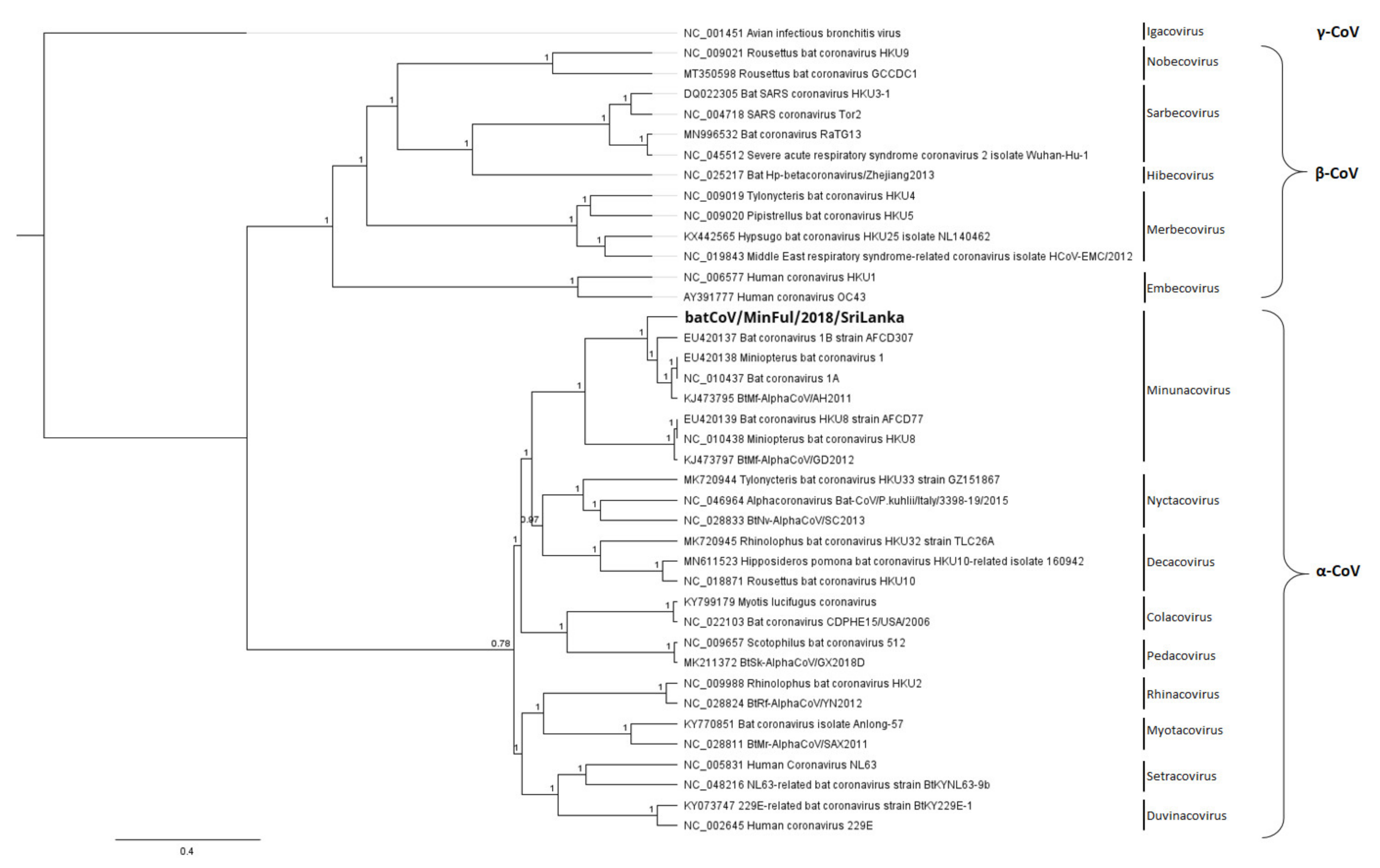 Viruses 14 00337 g004