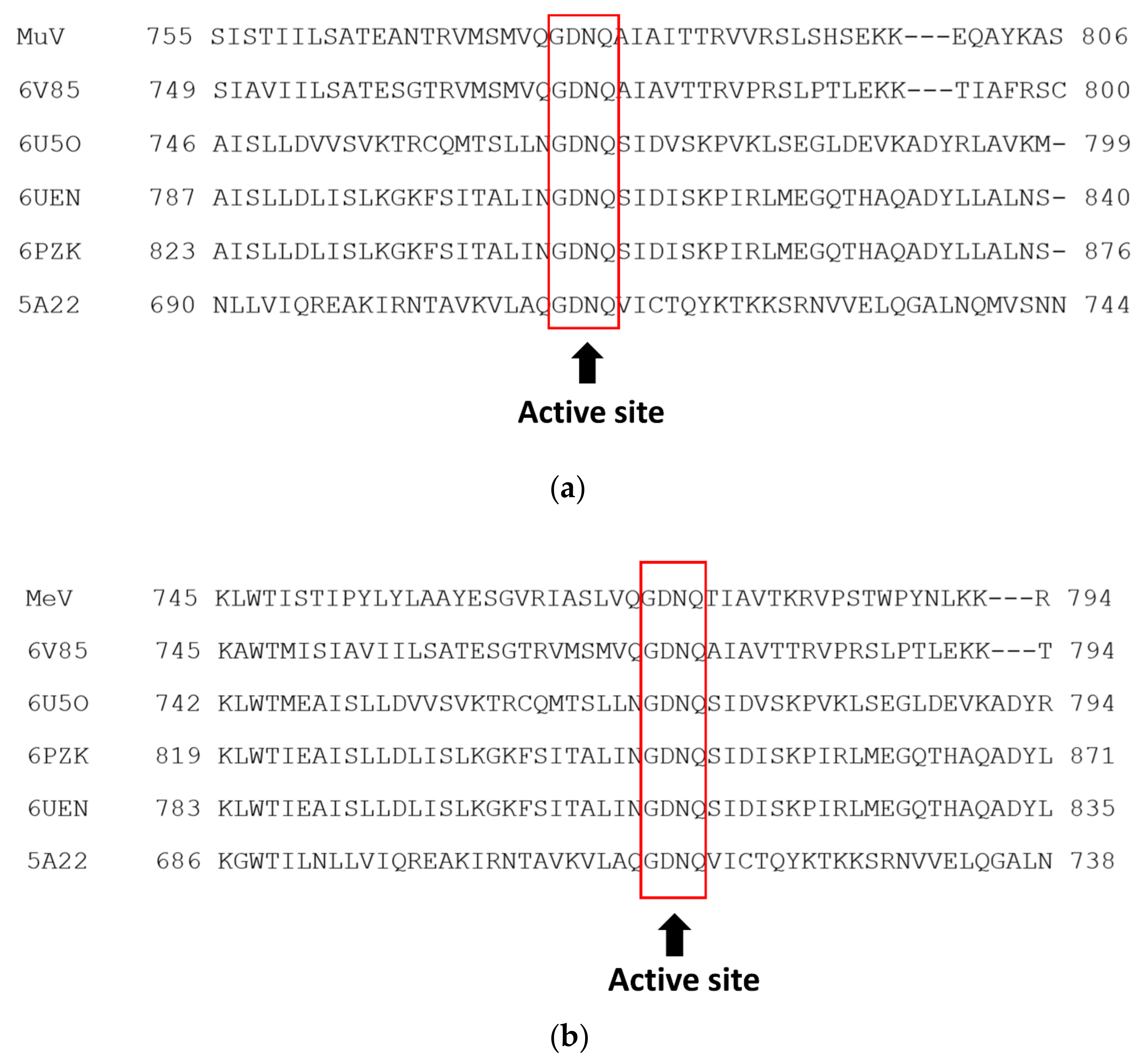 Viruses 14 00338 g001a