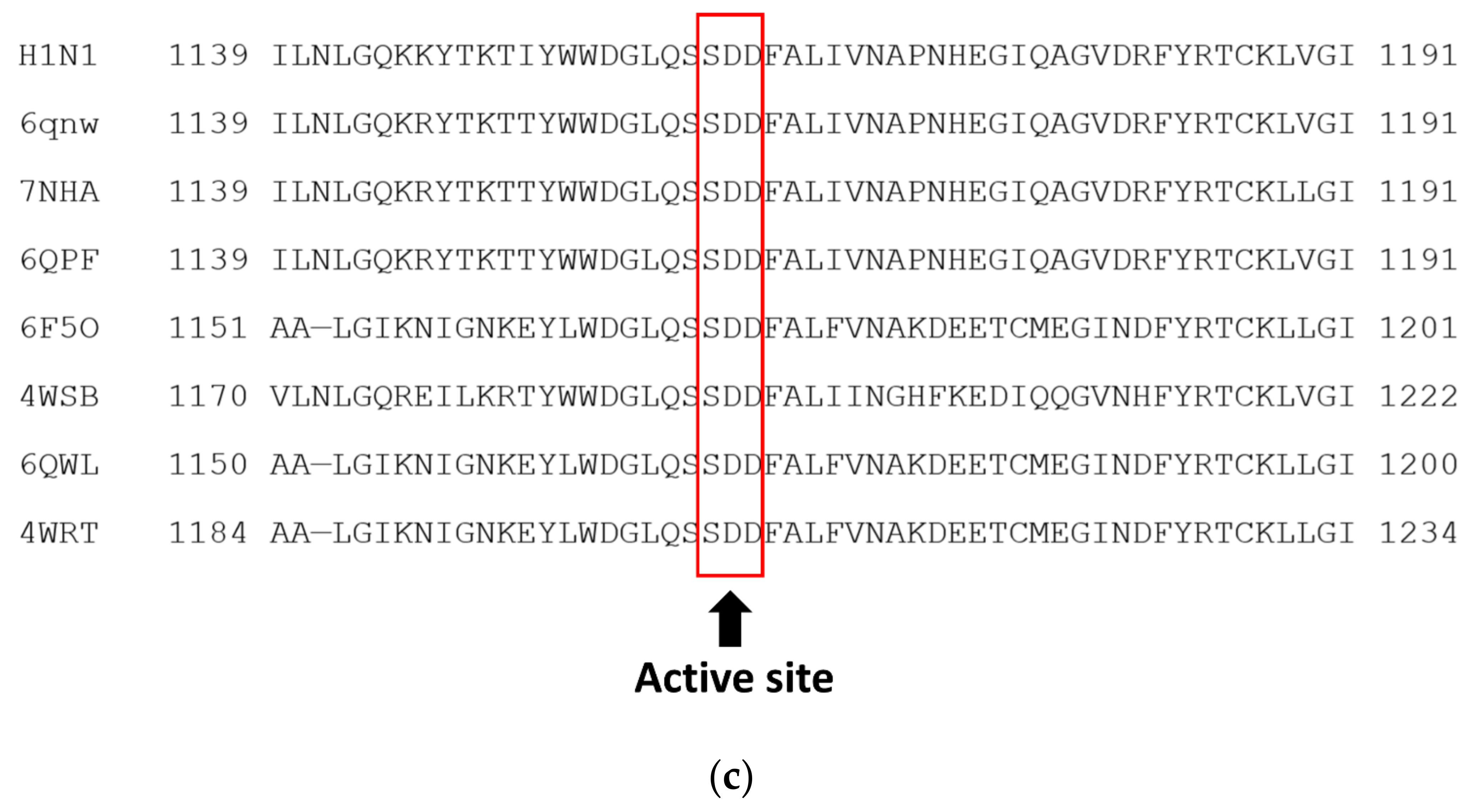 Viruses 14 00338 g001b