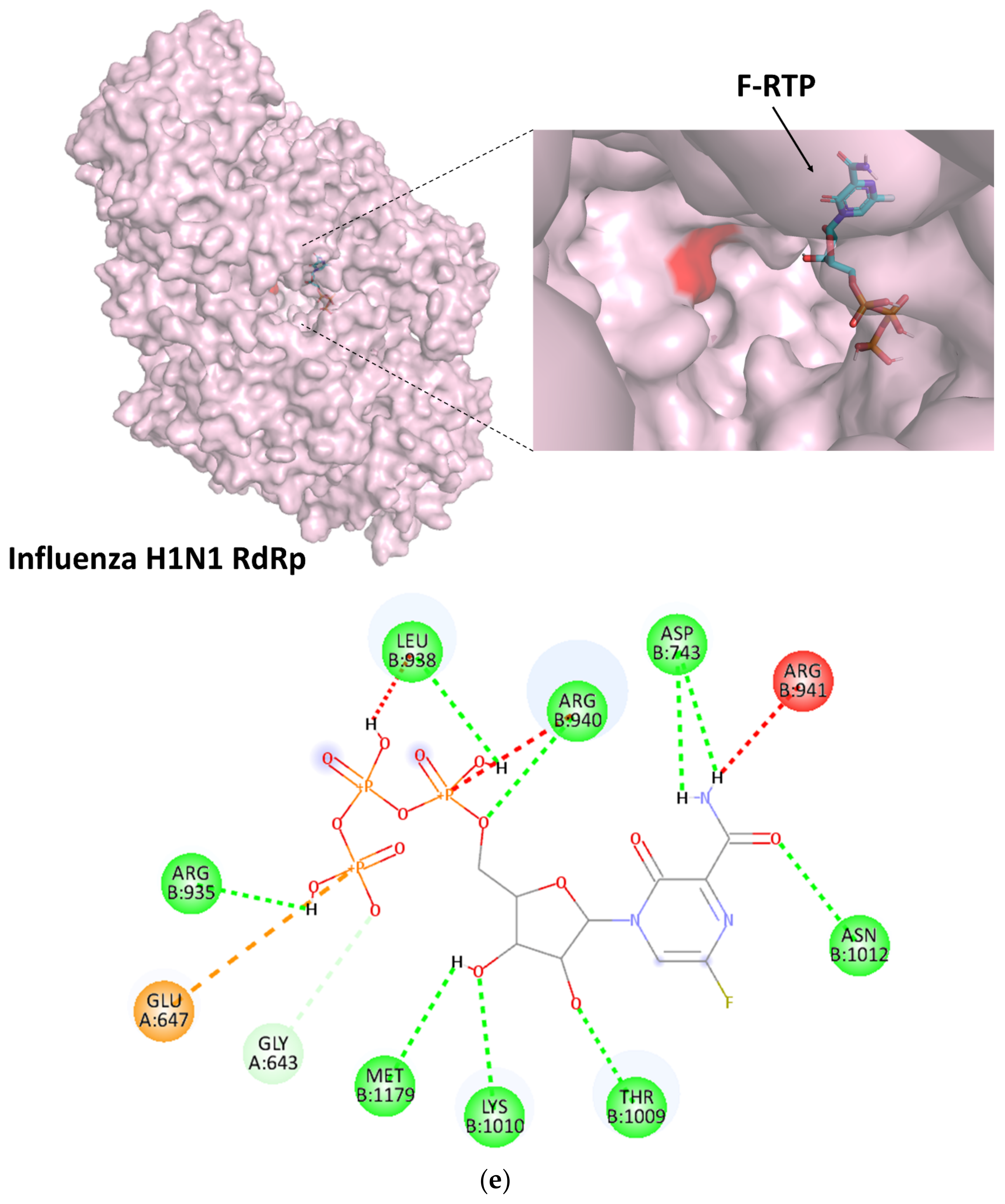 Viruses 14 00338 g002e