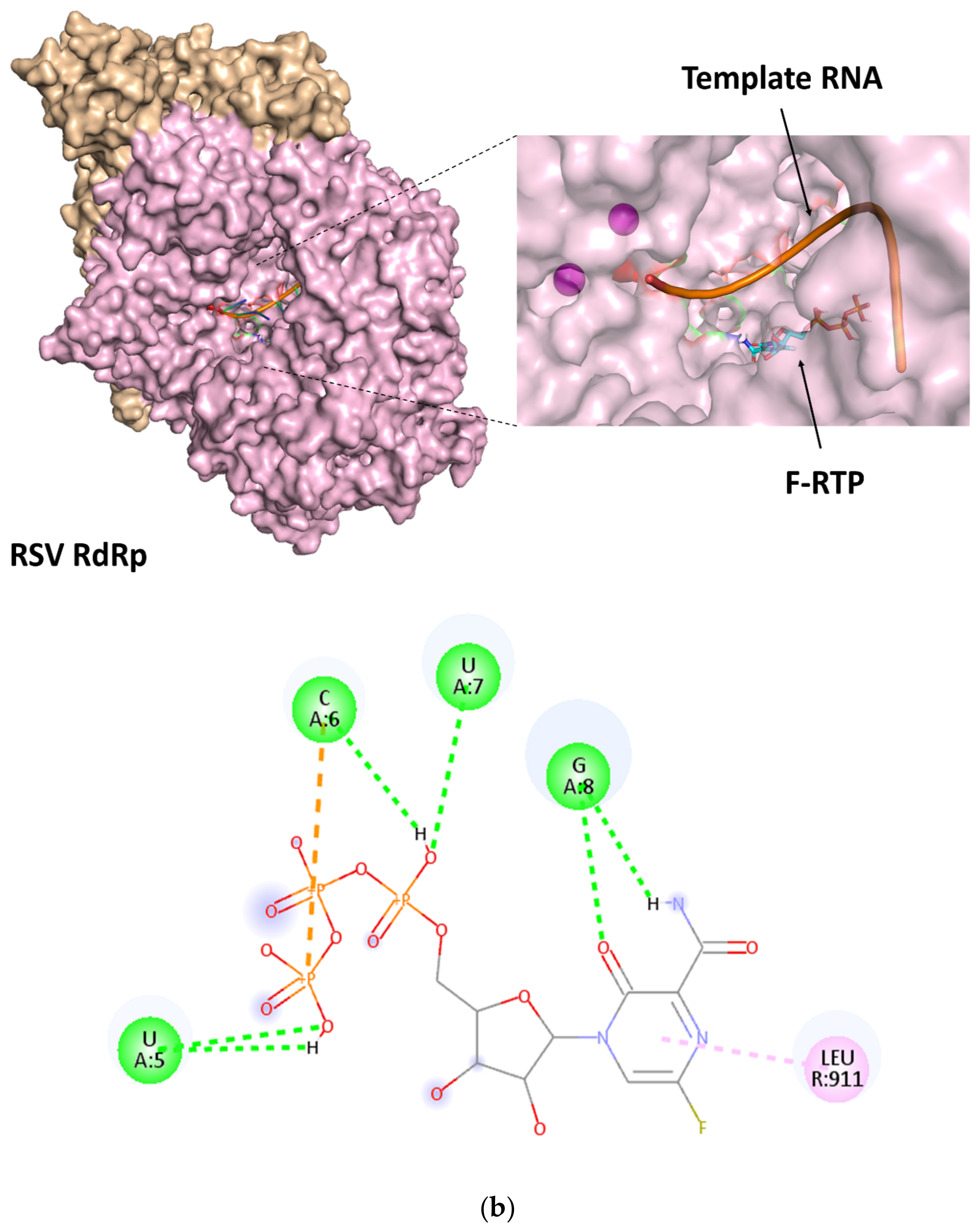 Viruses 14 00338 g003b
