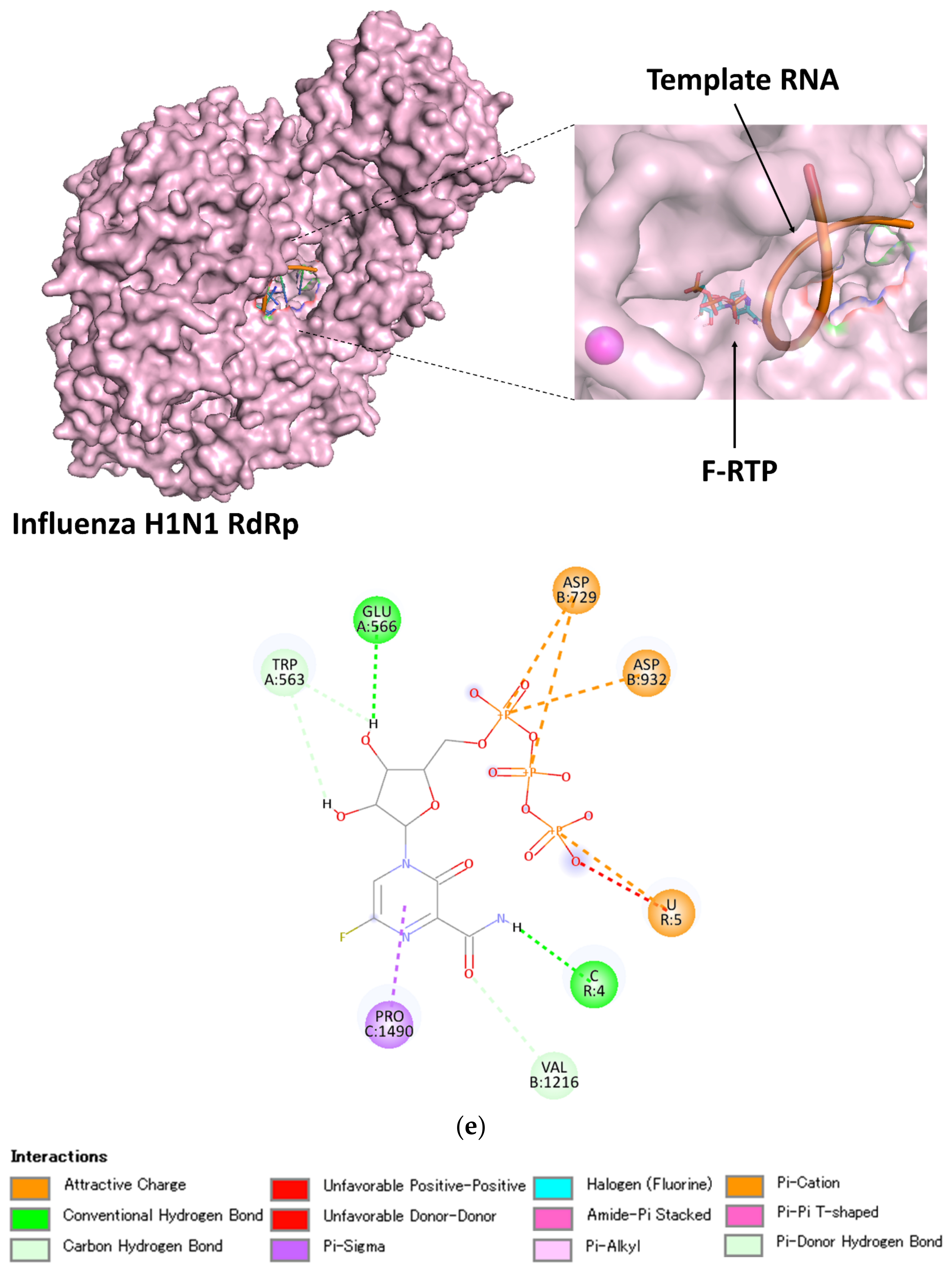 Viruses 14 00338 g003e