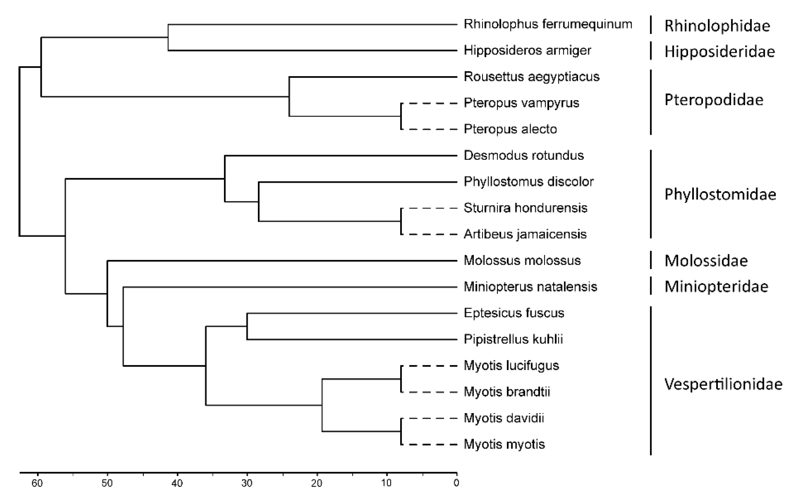 Viruses 14 00345 g001 Viruses 14 00345 g001