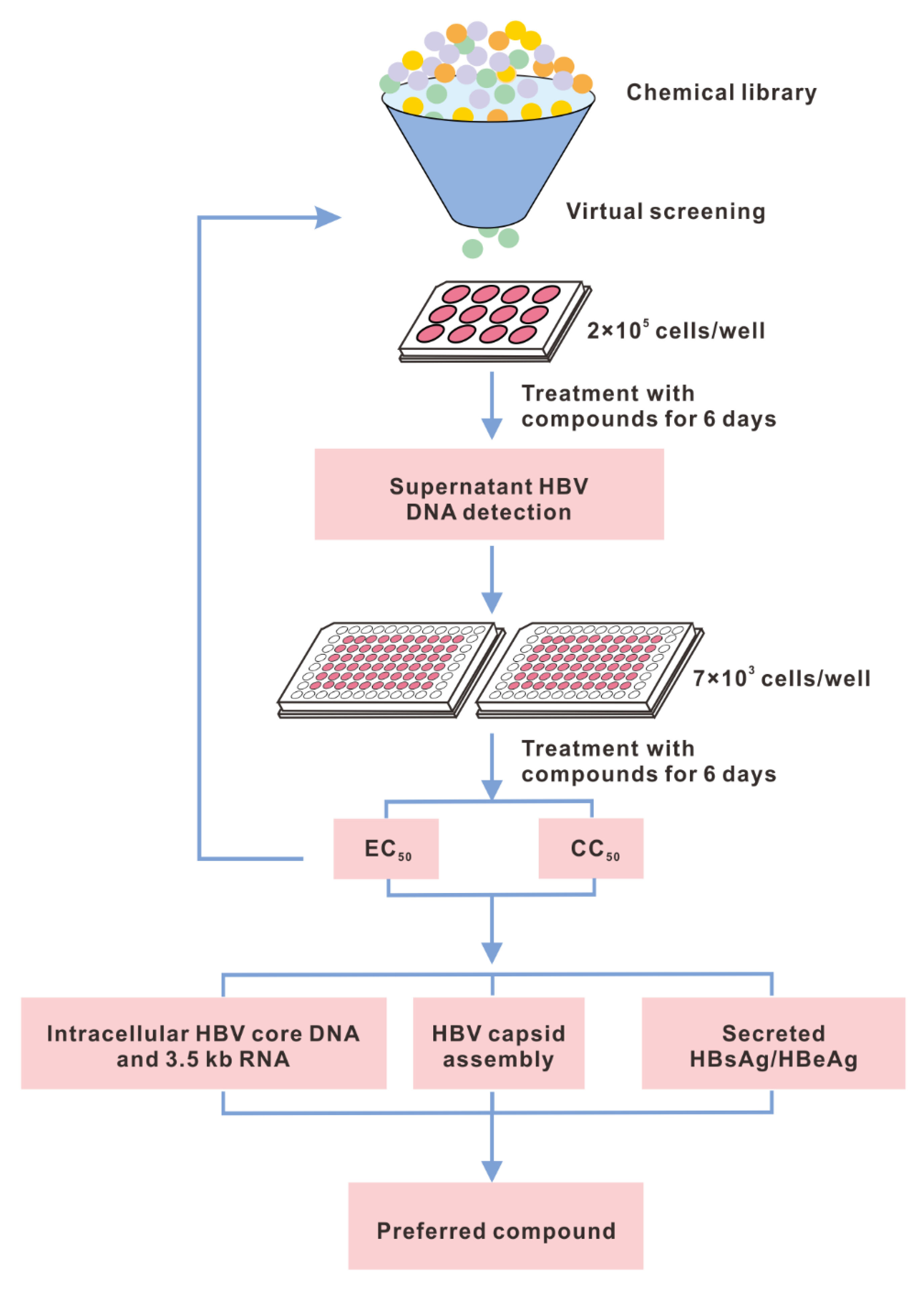 Viruses 14 00348 g001