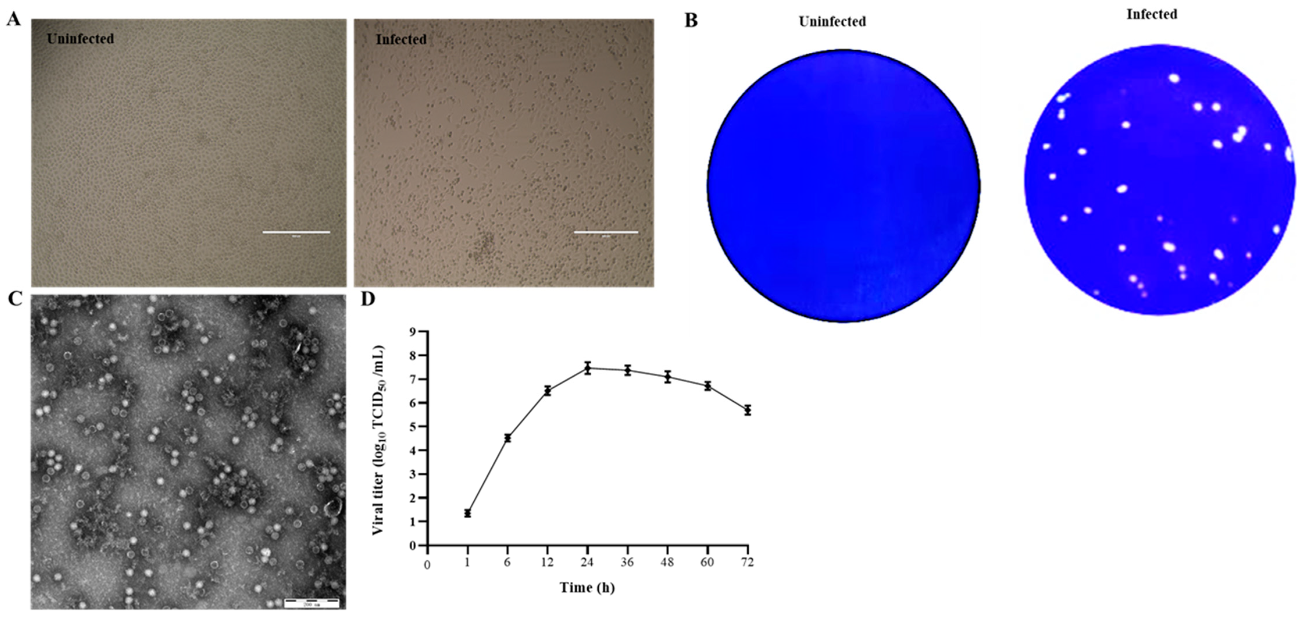 Viruses 14 00349 g001 Viruses 14 00349 g001