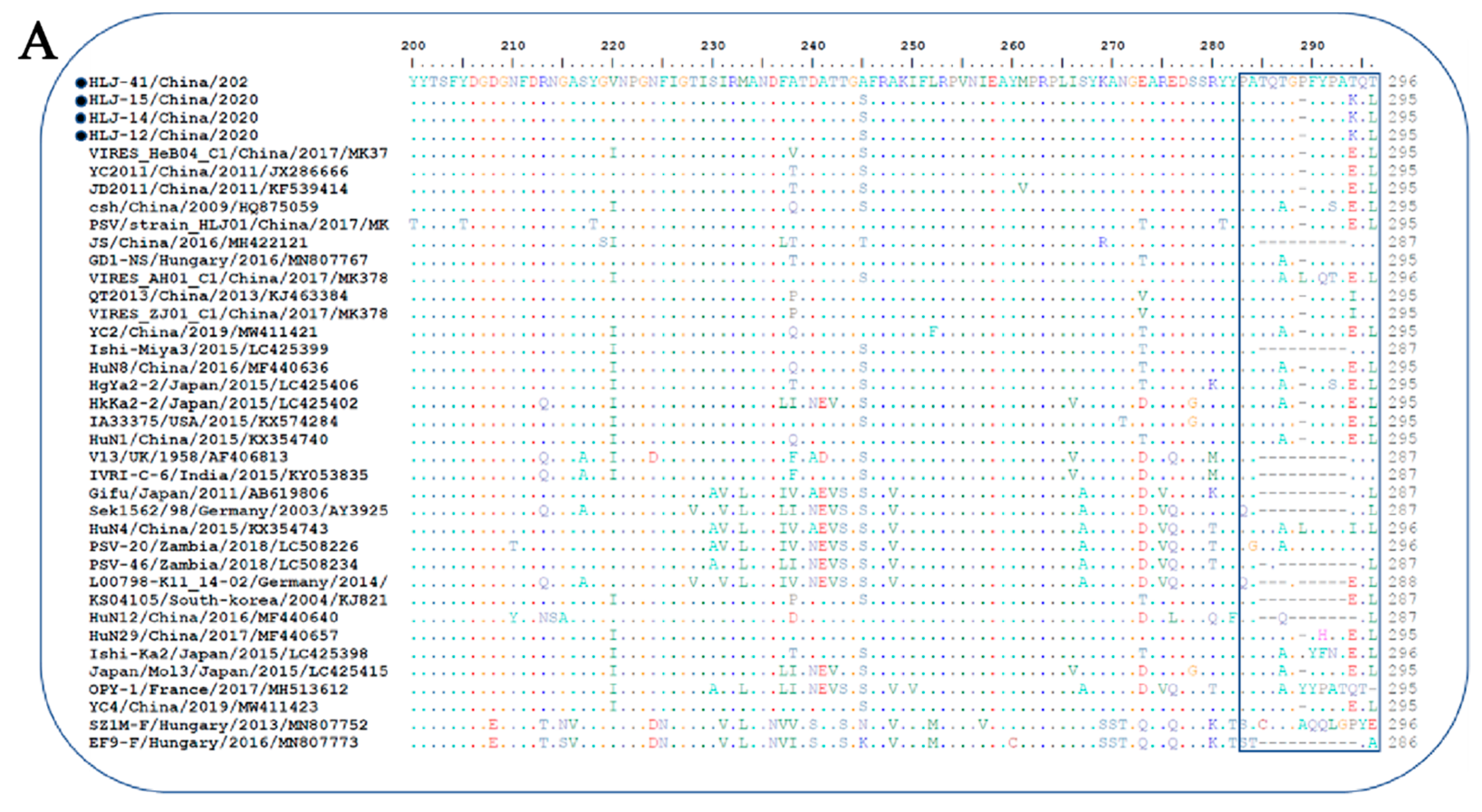 Viruses 14 00349 g002a Viruses 14 00349 g002a