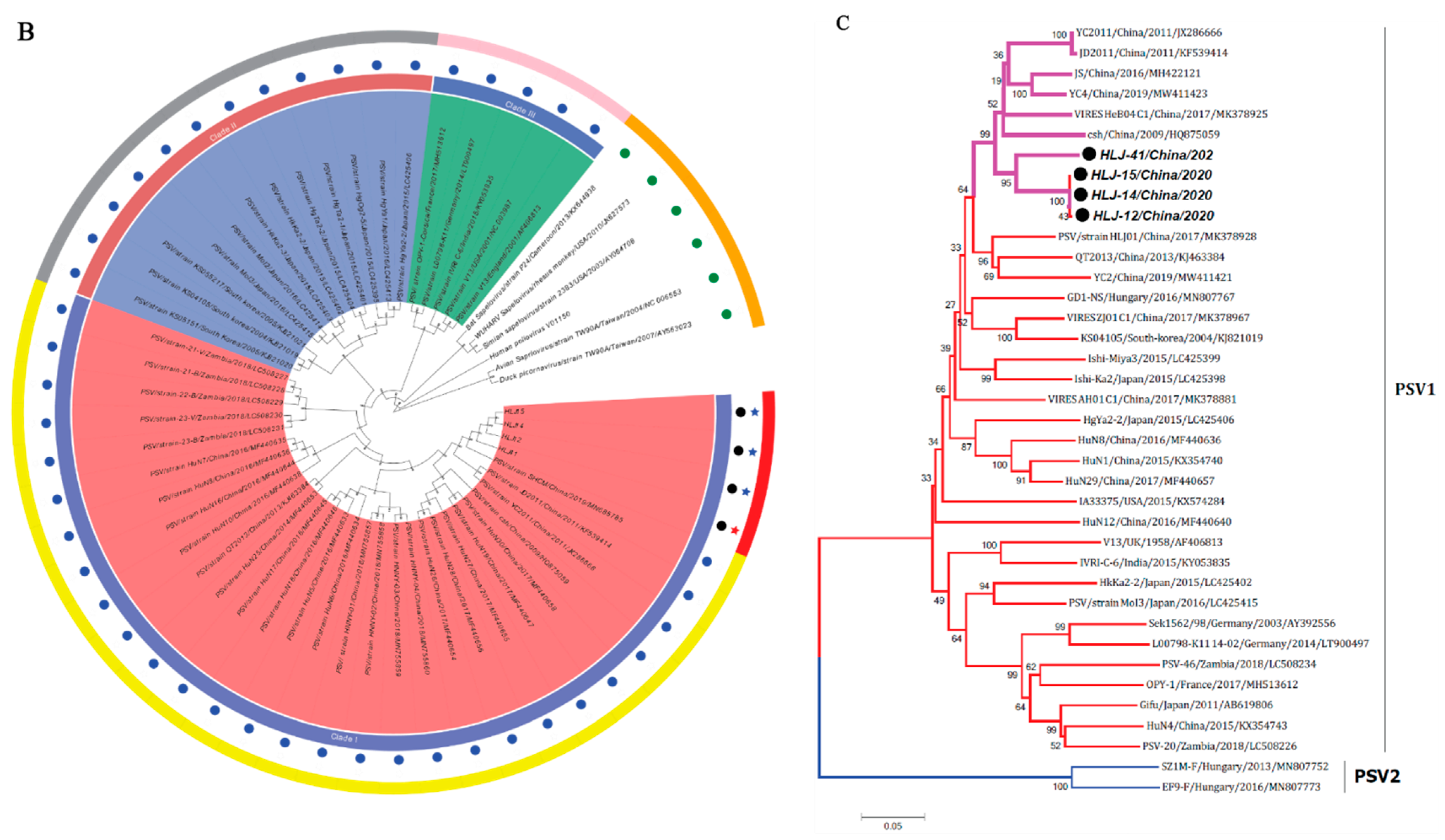 Viruses 14 00349 g002b Viruses 14 00349 g002b