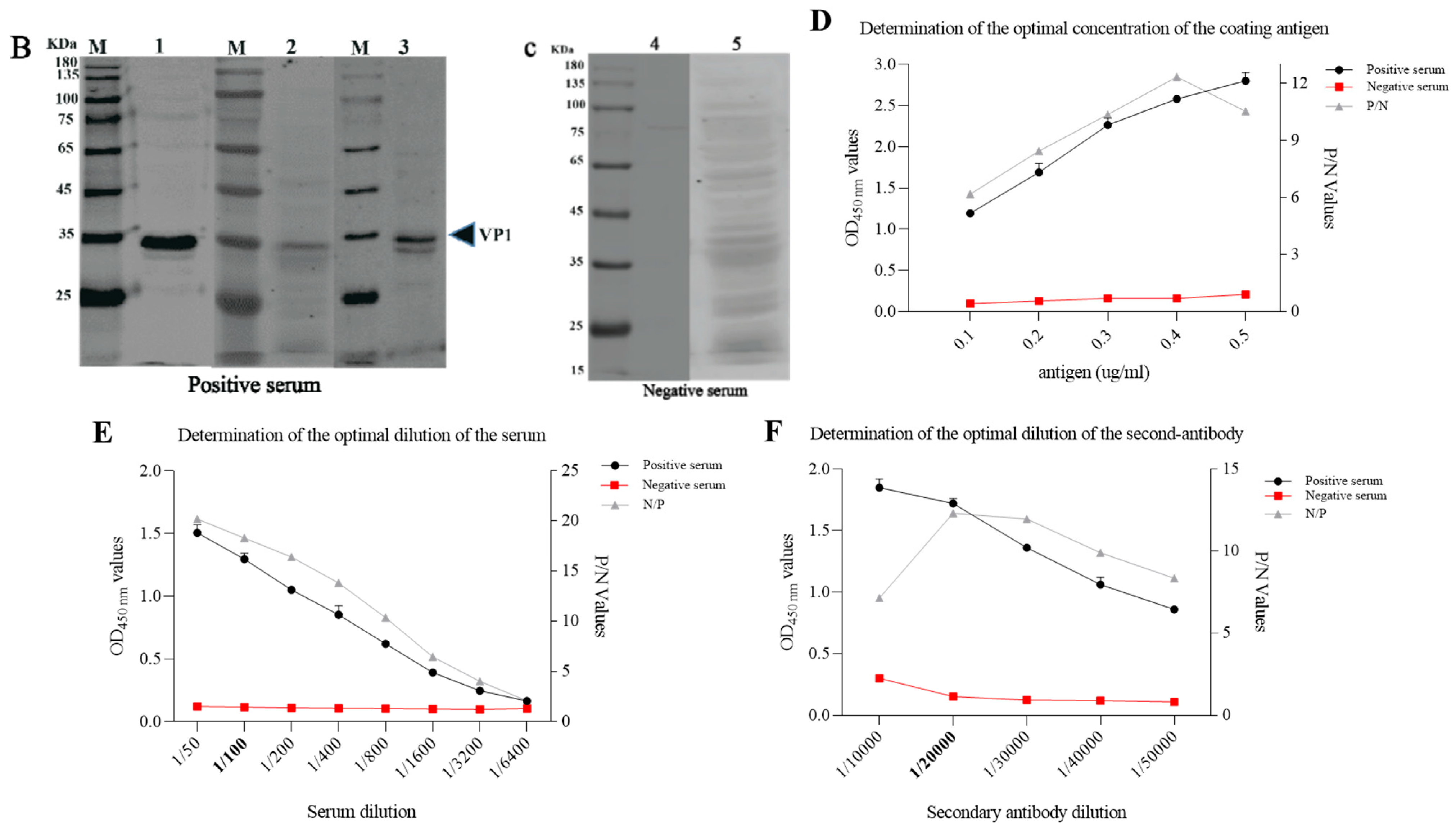 Viruses 14 00349 g006b Viruses 14 00349 g006b
