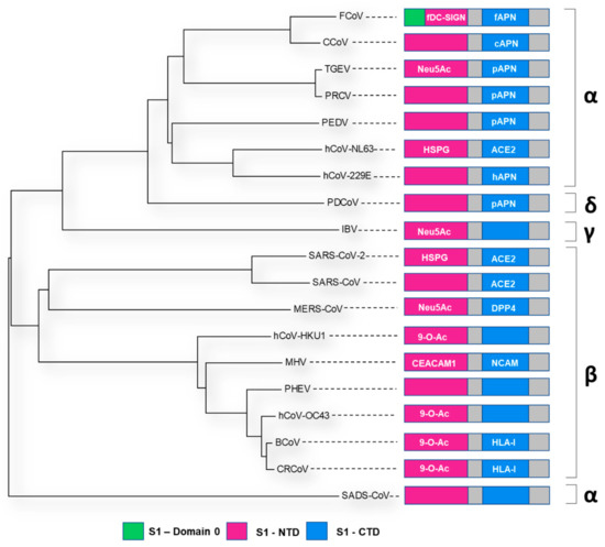 Viruses 14 00351 g005