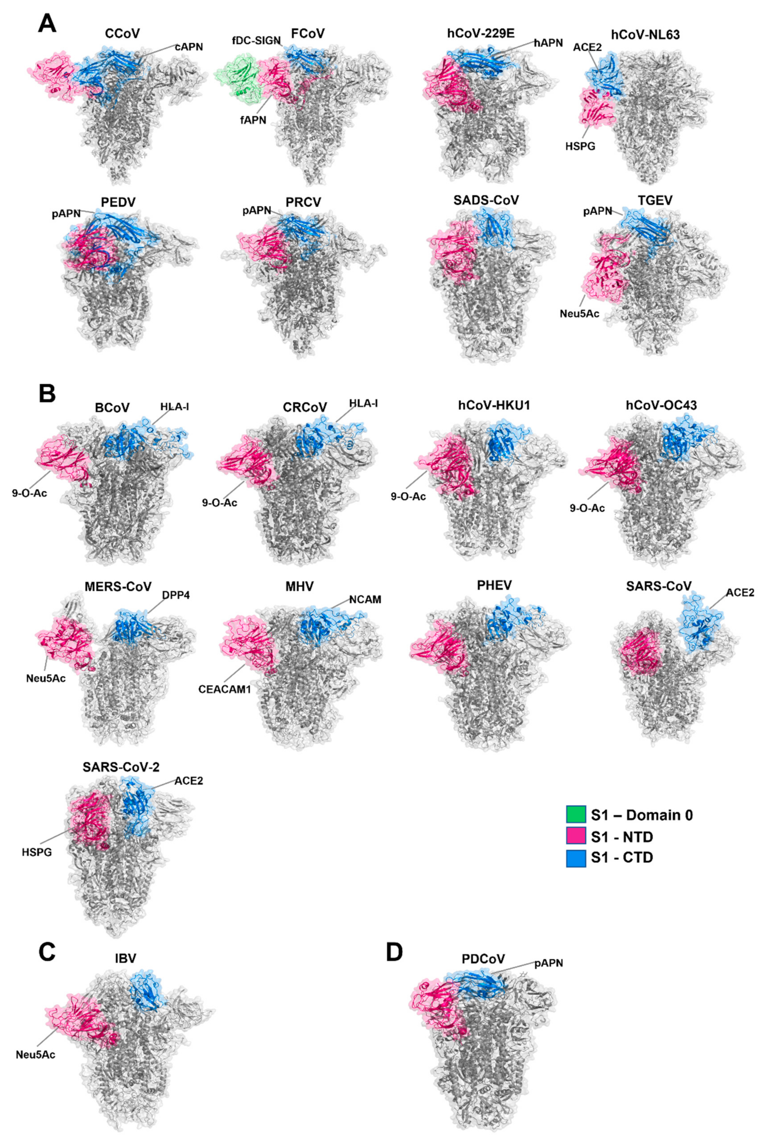 Viruses 14 00351 g006 Viruses 14 00351 g006