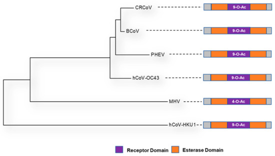 Viruses 14 00351 g008