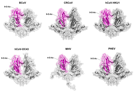 Viruses 14 00351 g009
