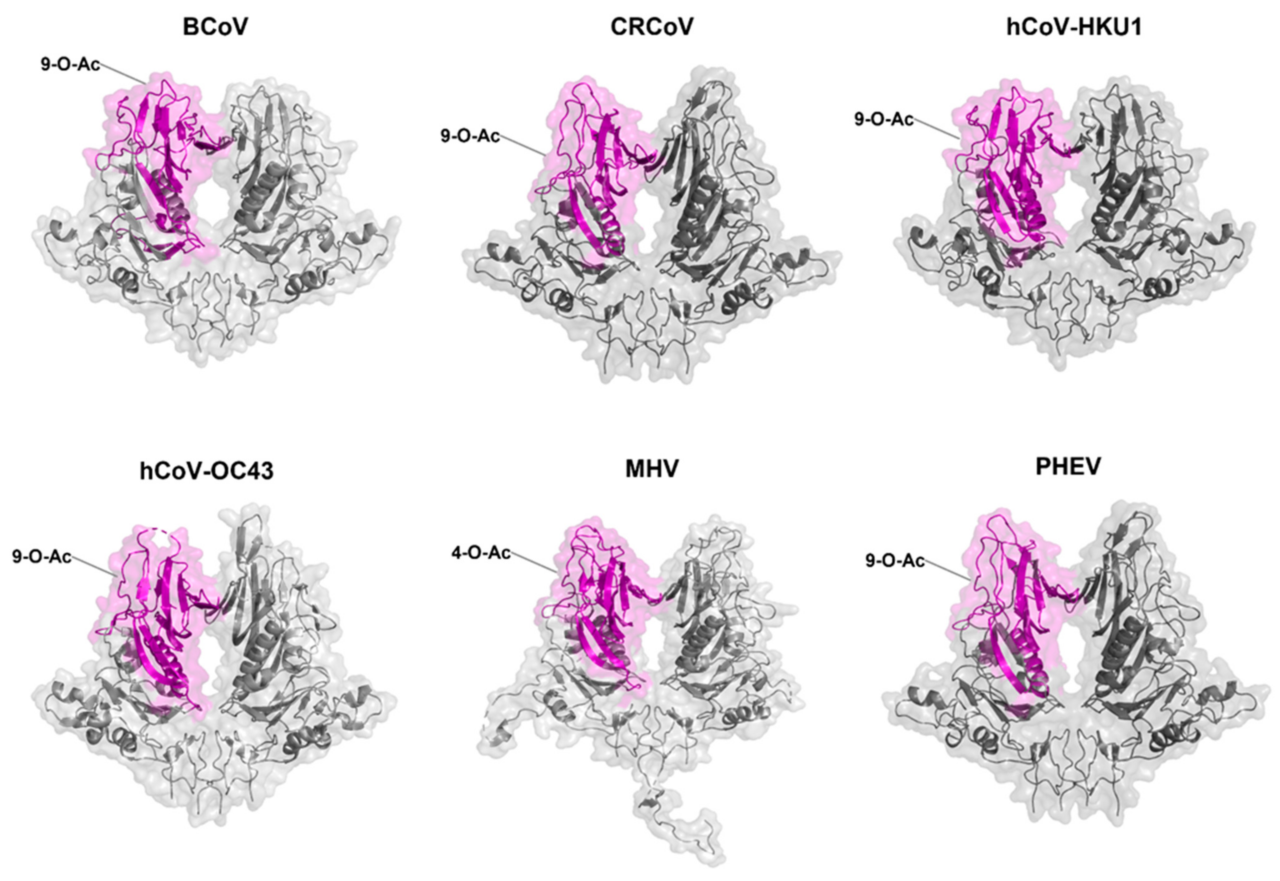 Viruses 14 00351 g009 Viruses 14 00351 g009