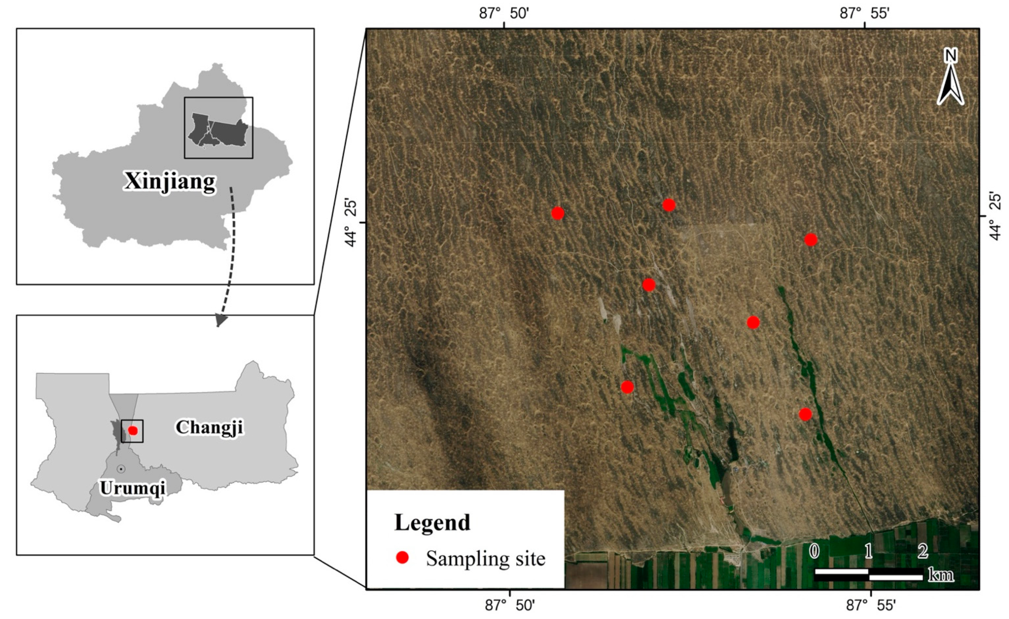 Viruses 14 00356 g001