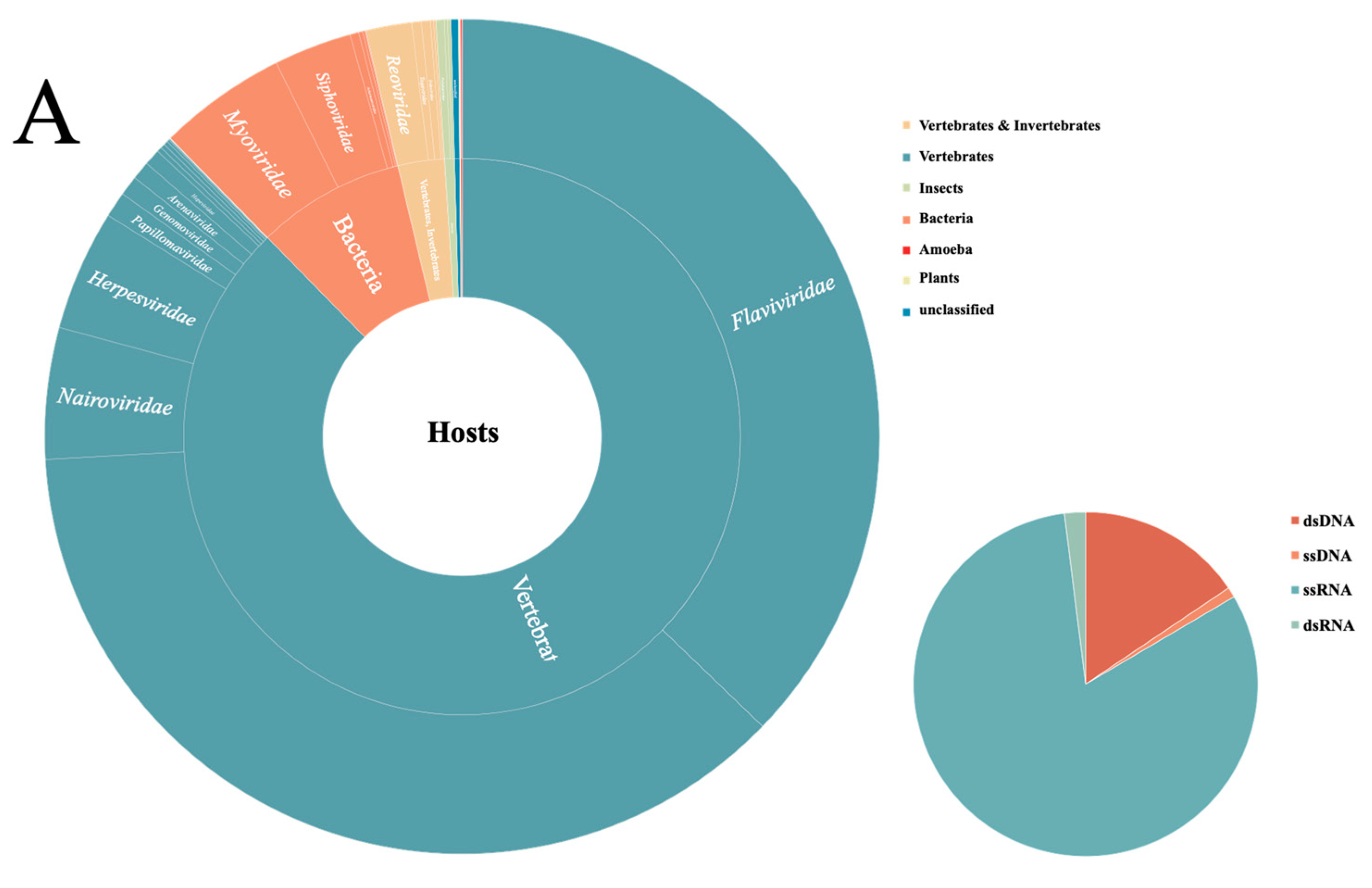 Viruses 14 00356 g002a
