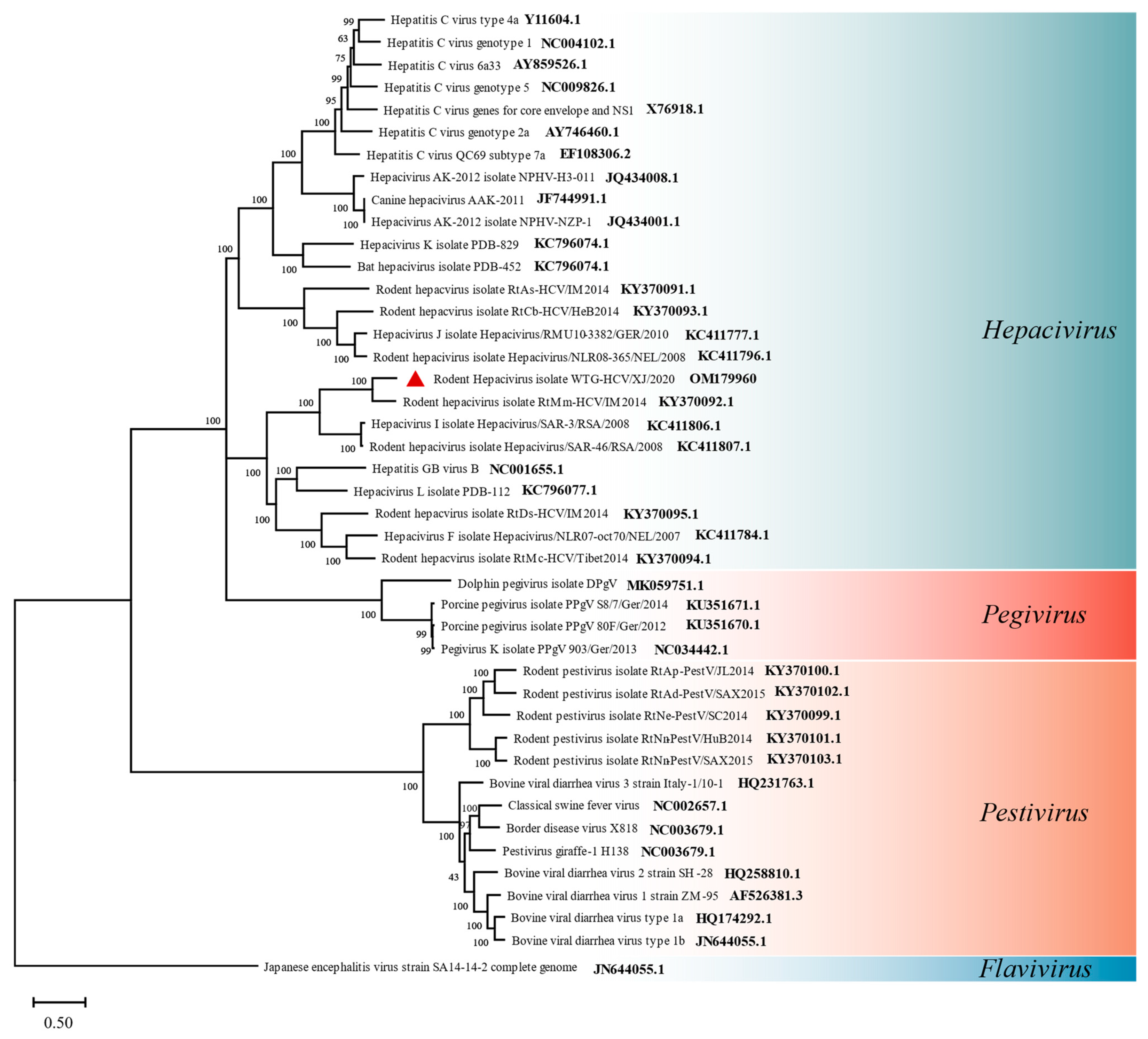 Viruses 14 00356 g005