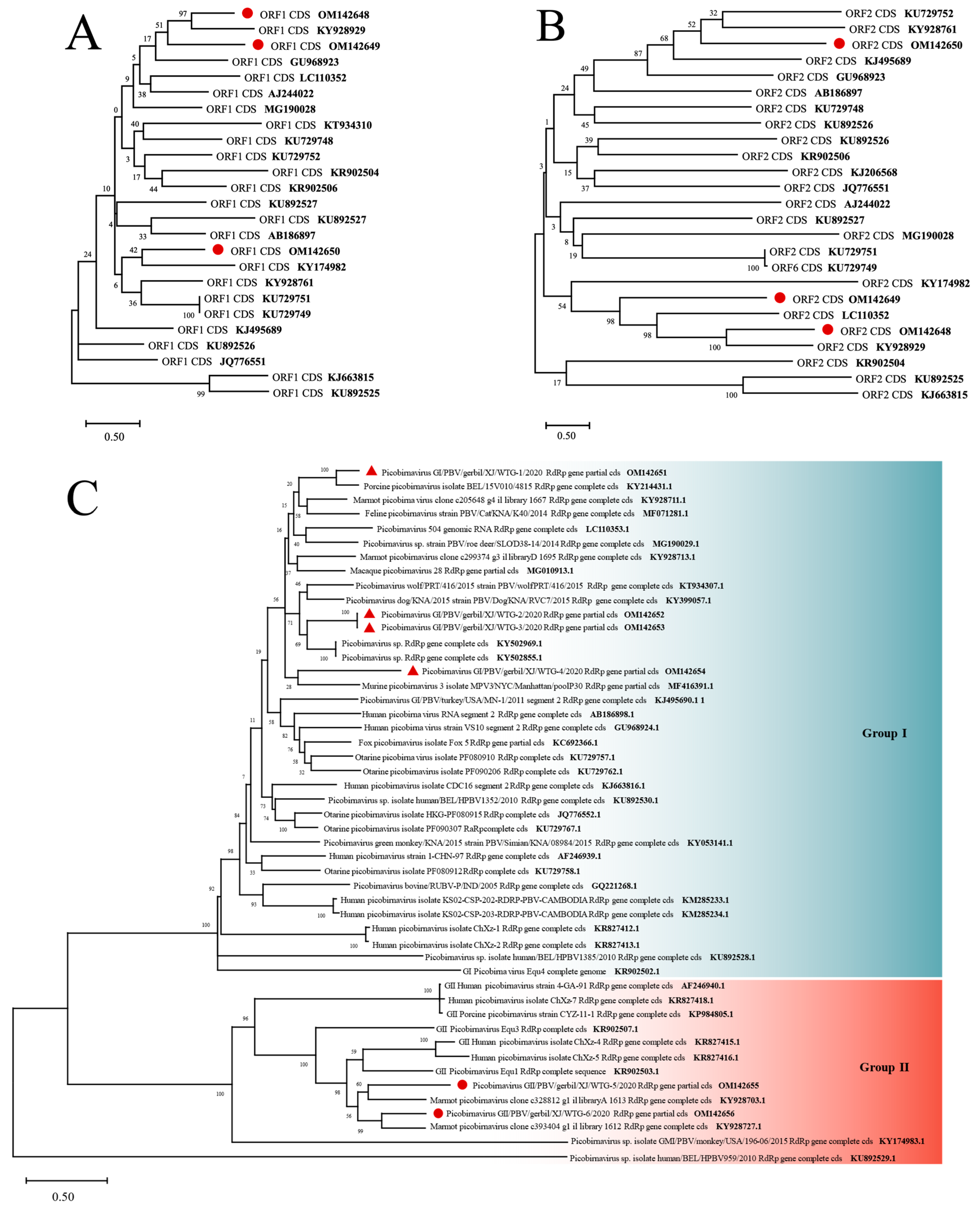 Viruses 14 00356 g006