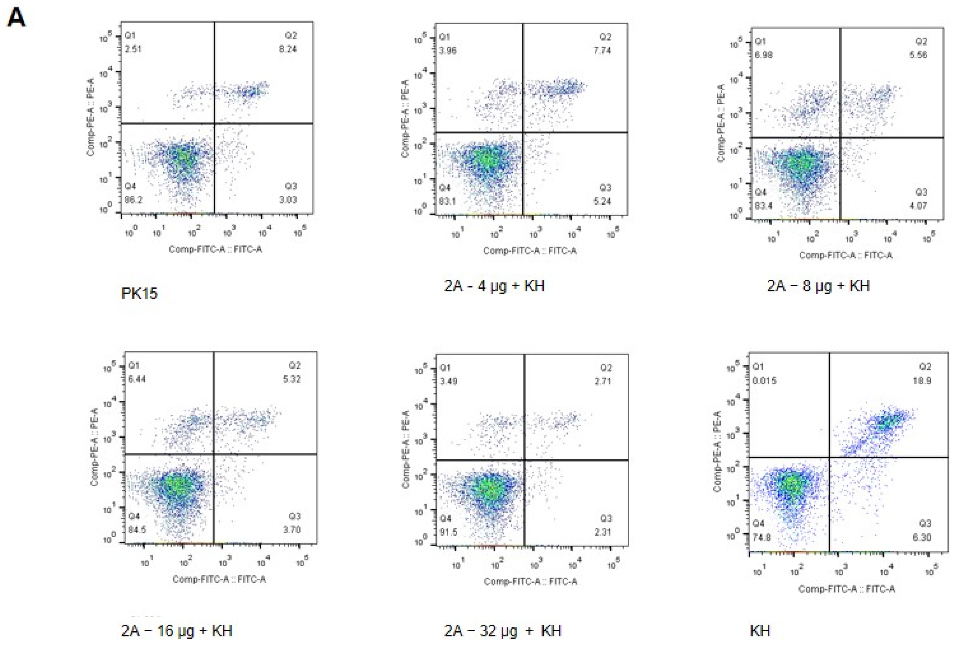 Viruses 14 00359 g001a