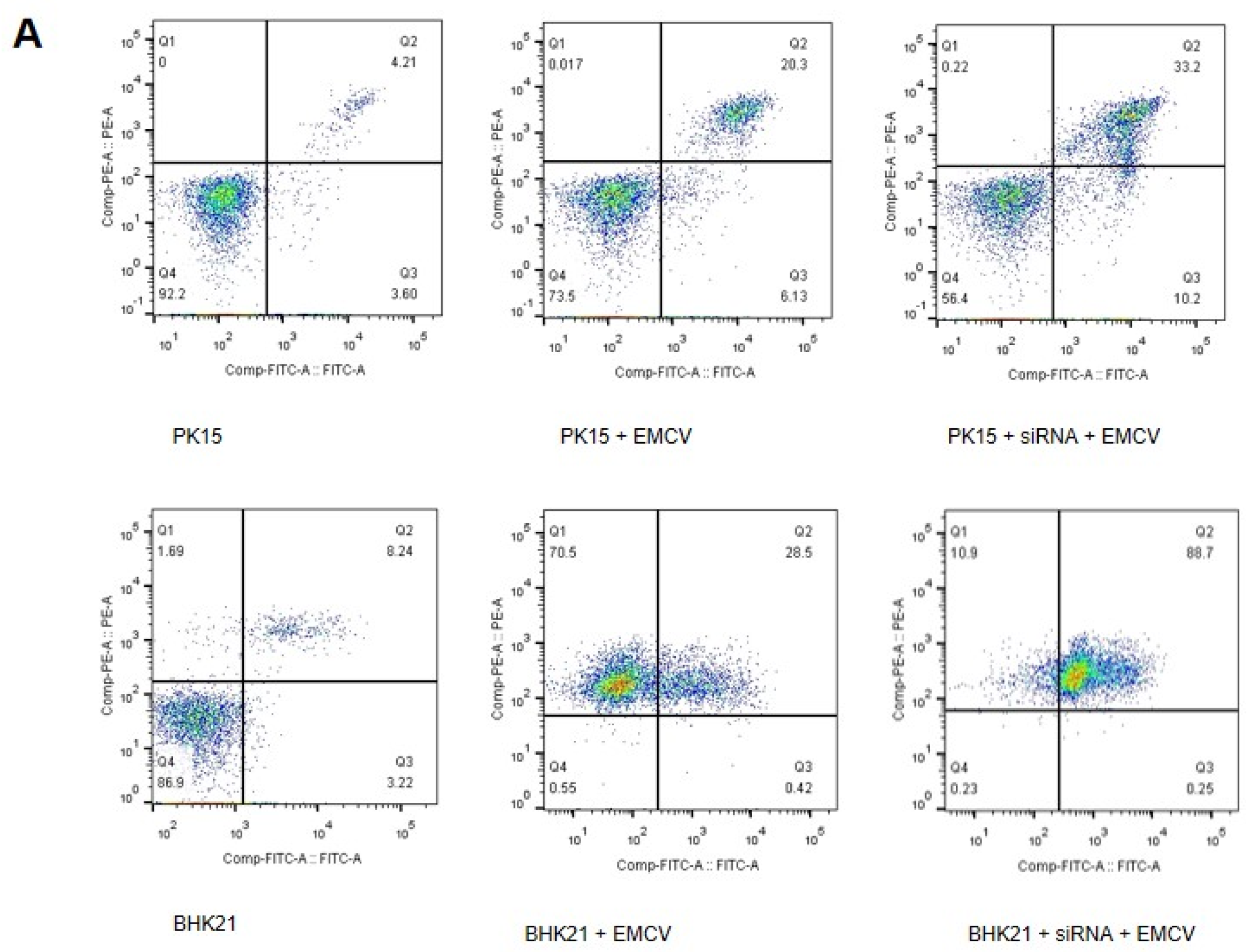 Viruses 14 00359 g005a