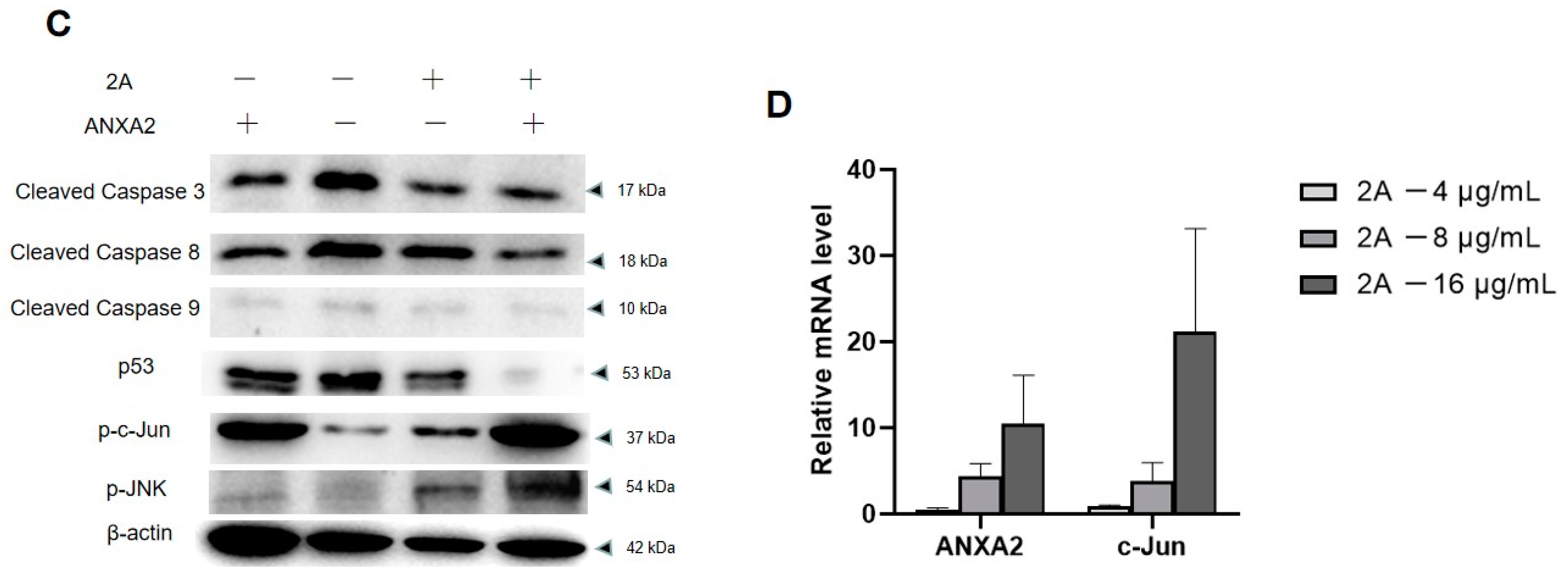 Viruses 14 00359 g007b