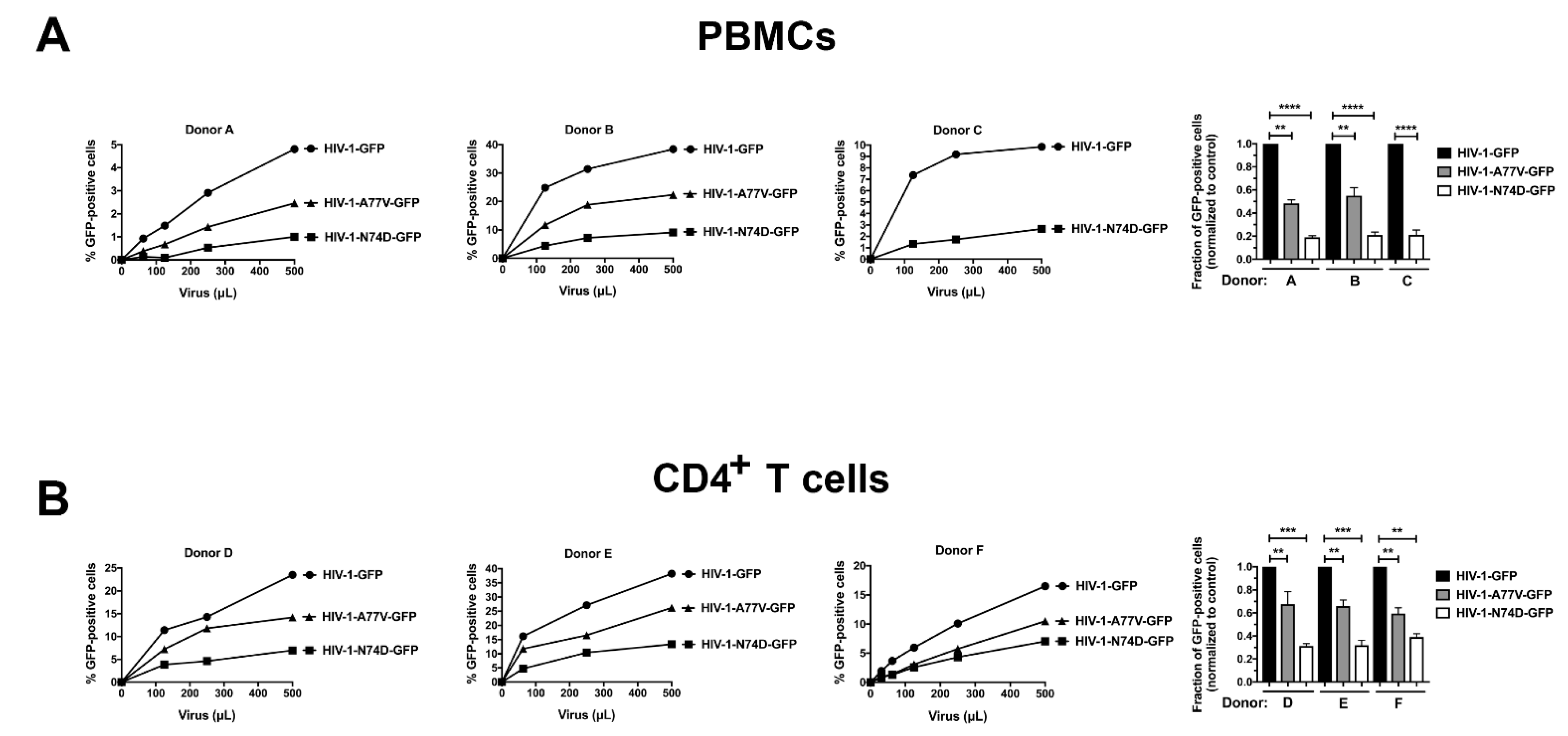 Viruses 14 00363 g002