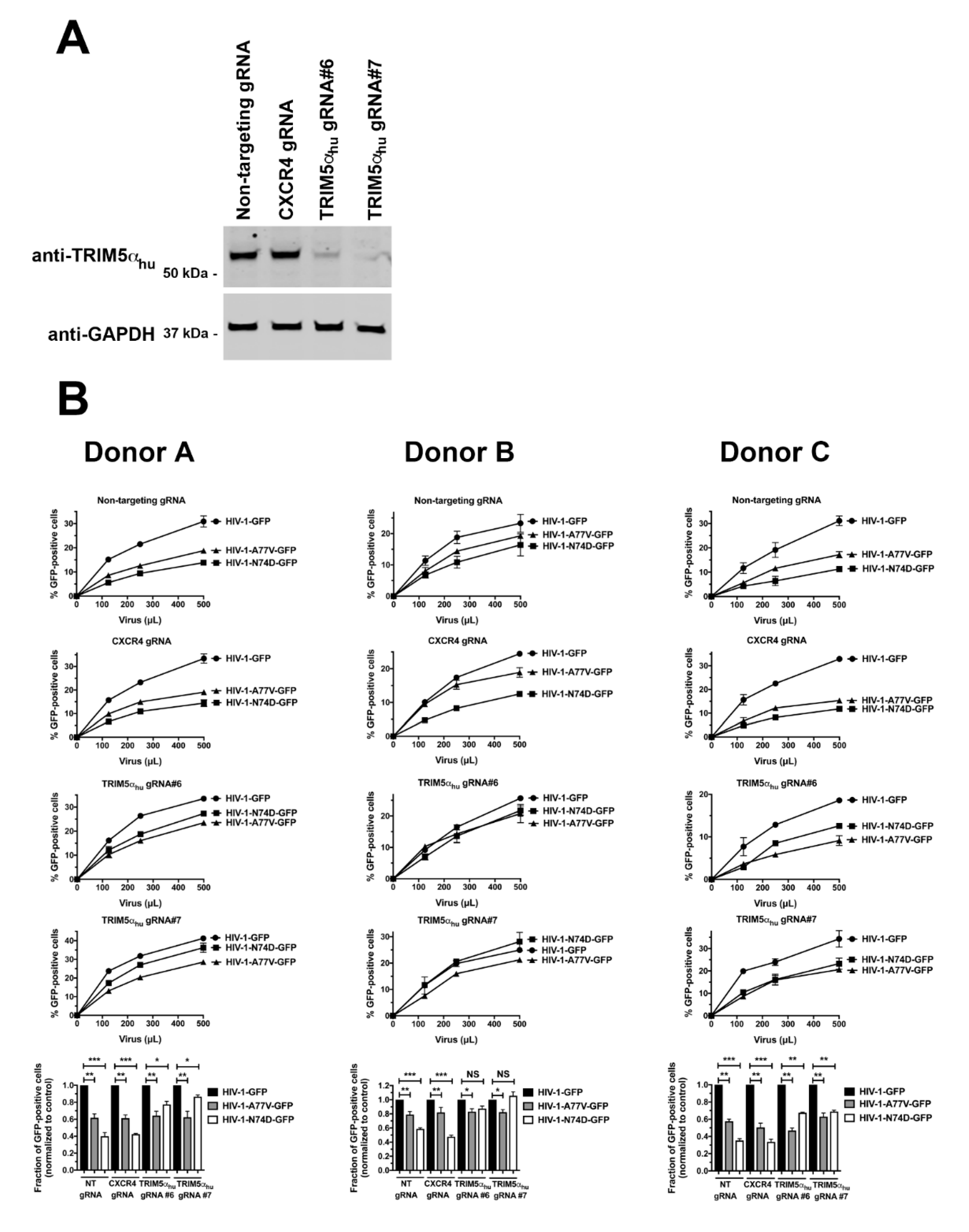 Viruses 14 00363 g004