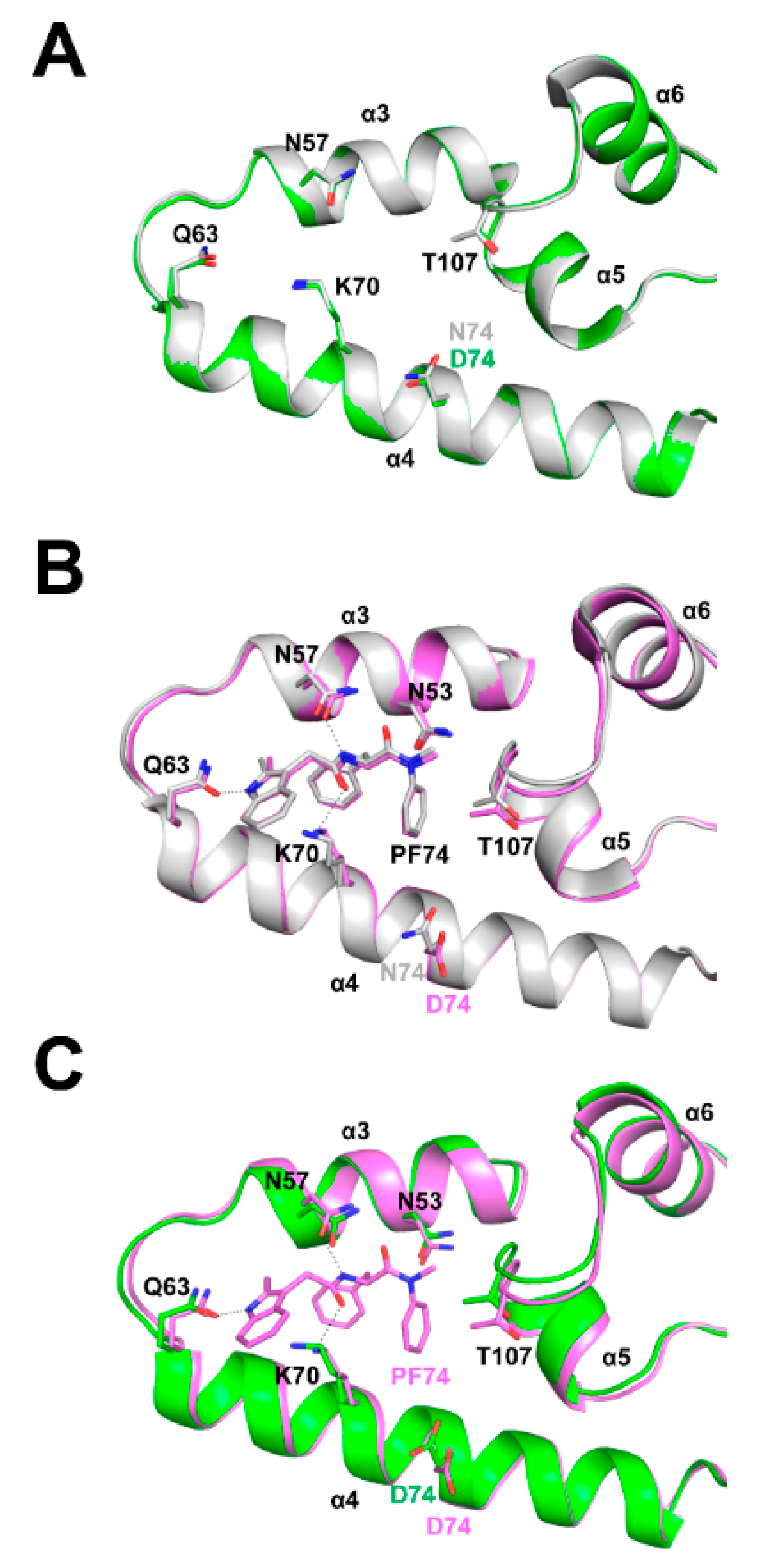 Viruses 14 00363 g007