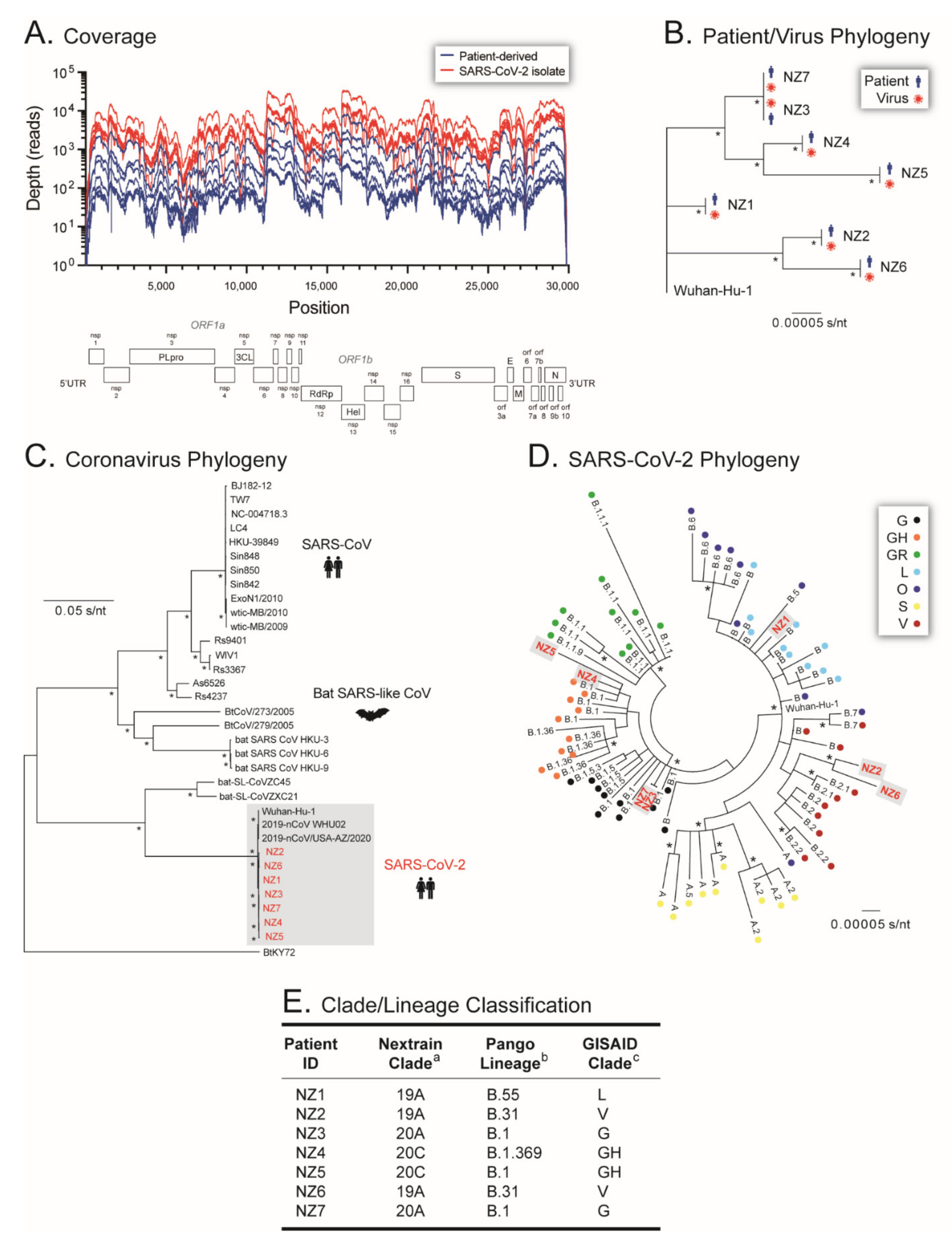 Viruses 14 00366 g004