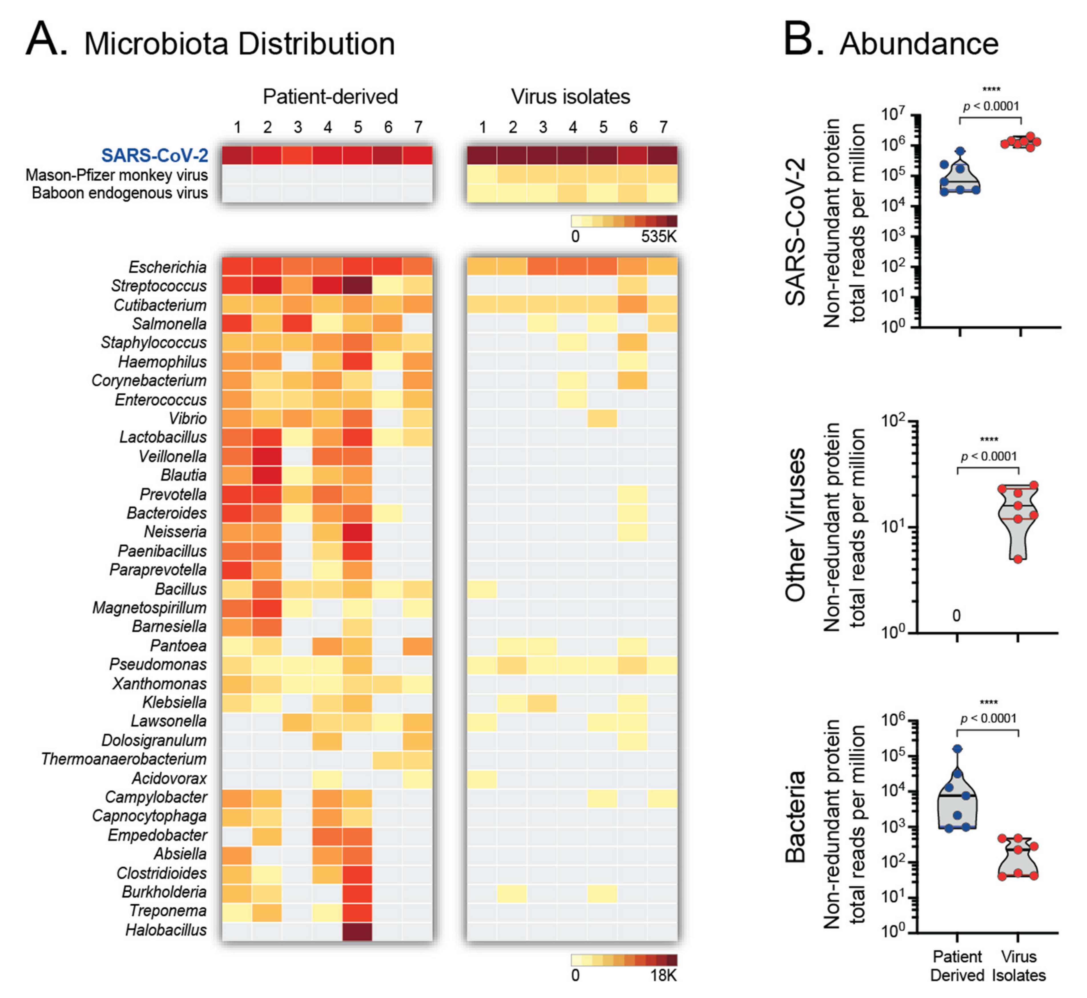 Viruses 14 00366 g006