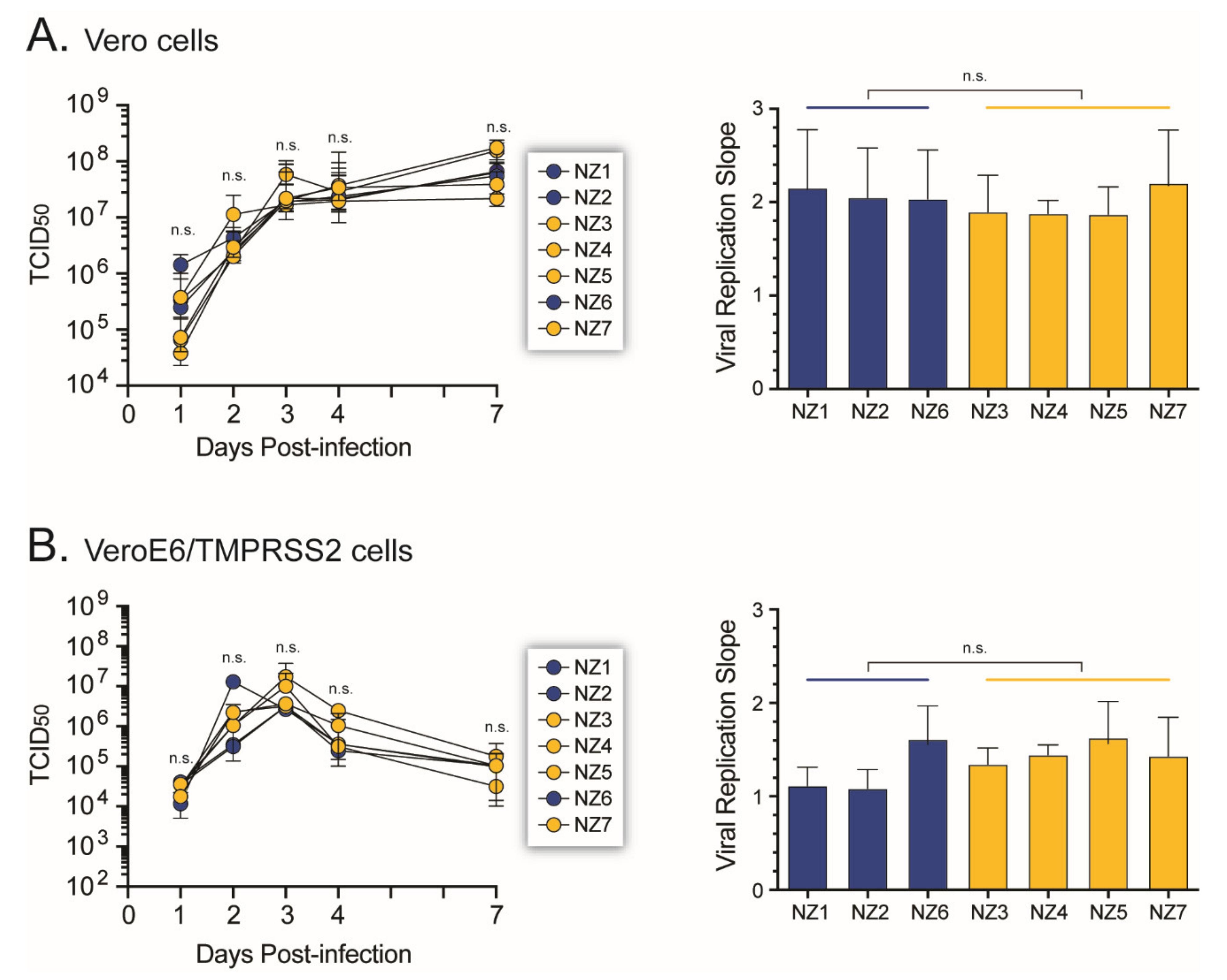Viruses 14 00366 g007