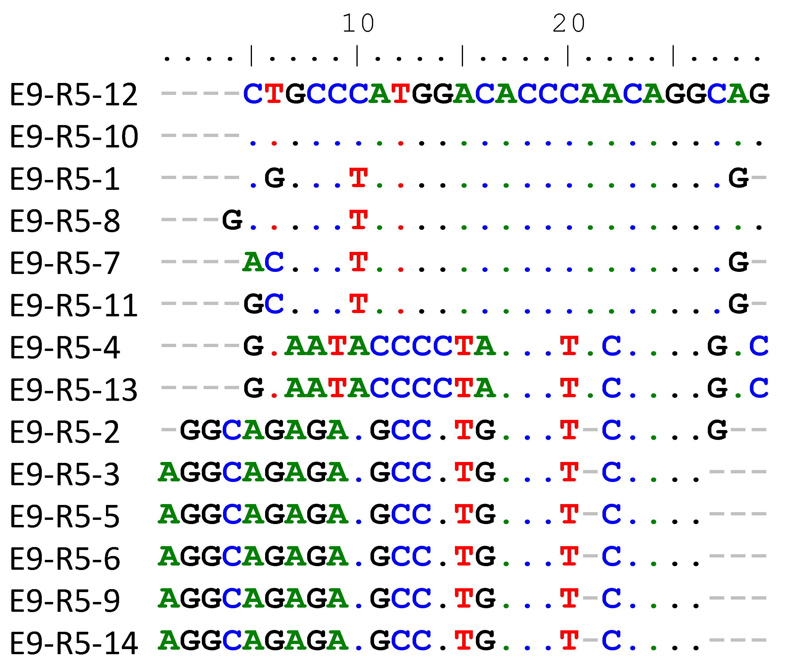 Viruses 14 00369 g001
