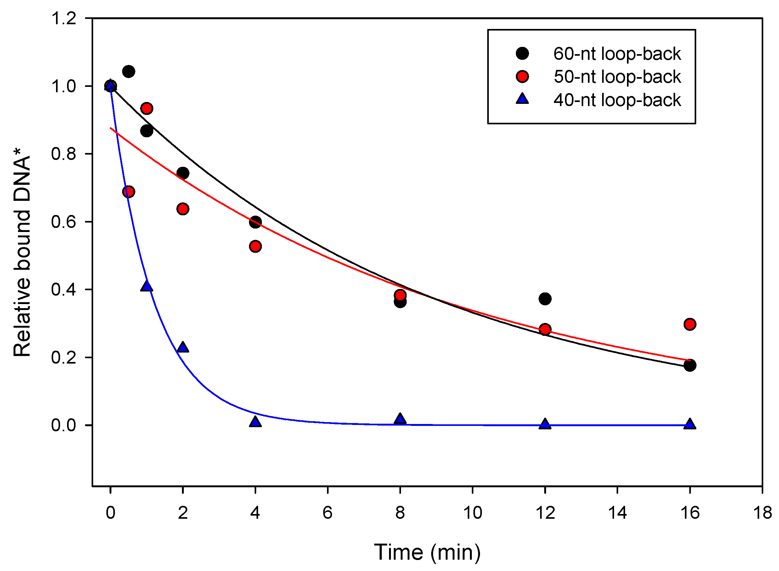 Viruses 14 00369 g004