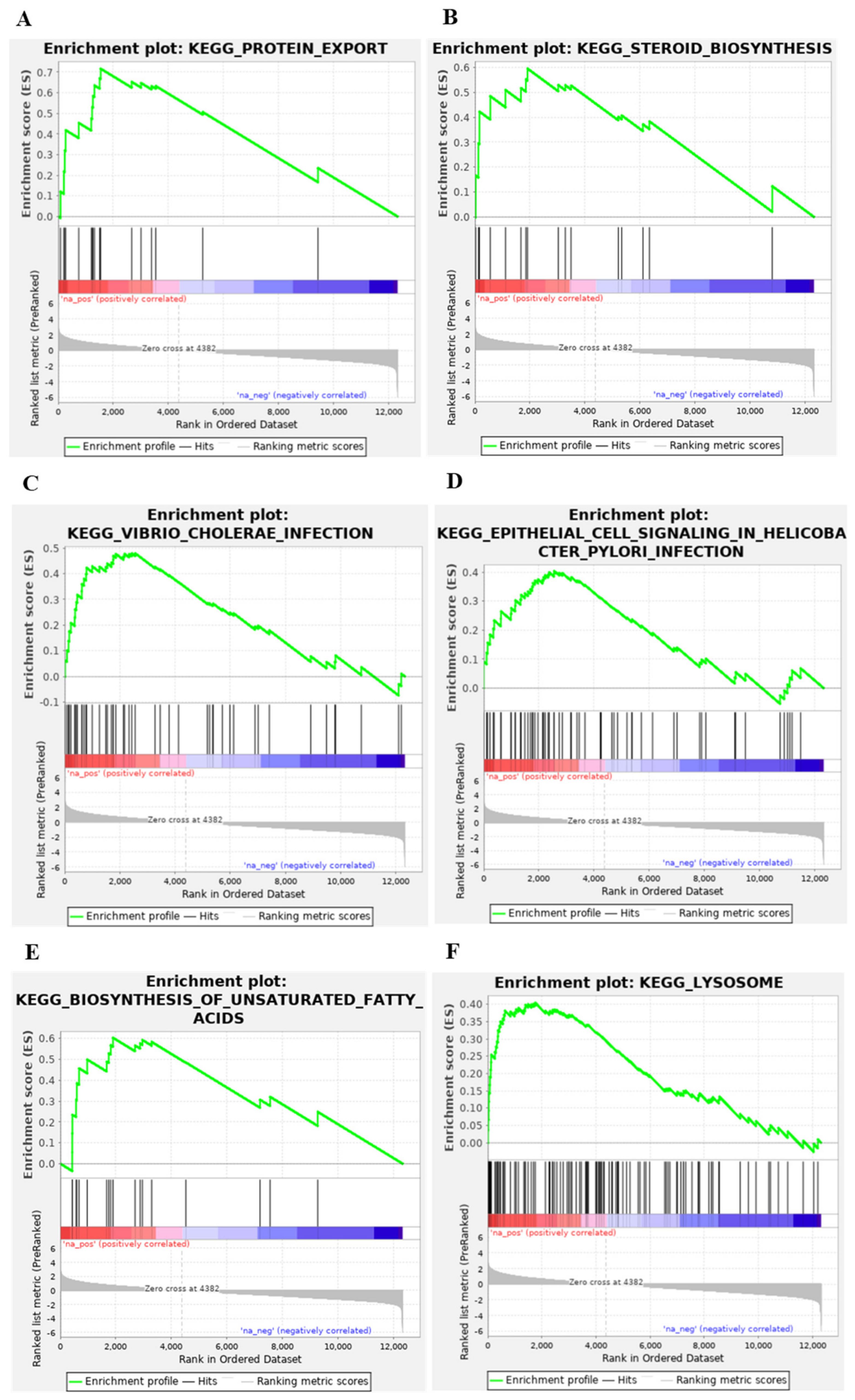 Viruses 14 00374 g003