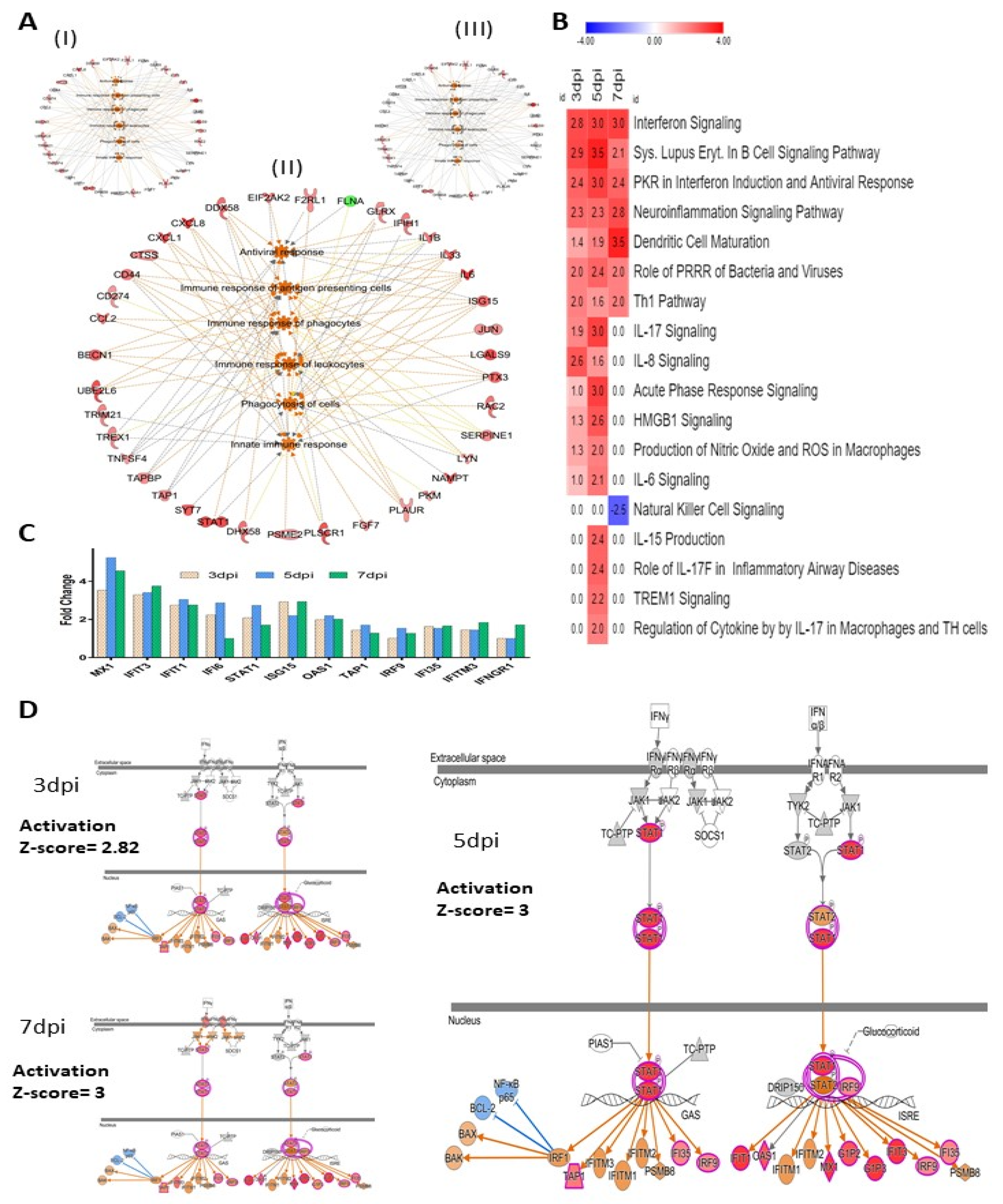 Viruses 14 00377 g005