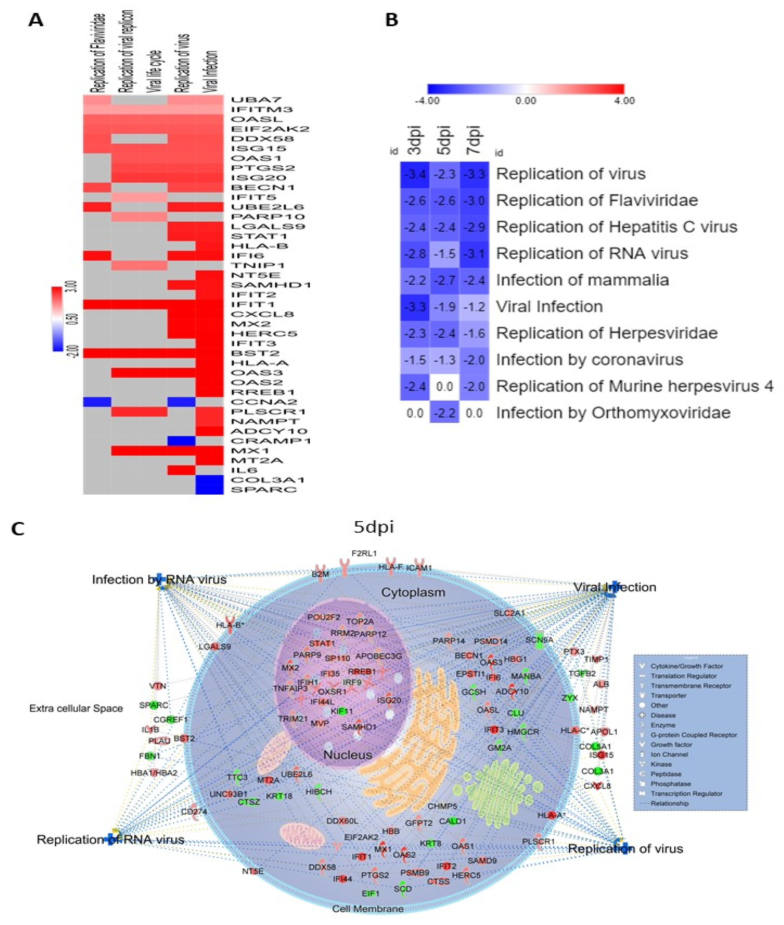 Viruses 14 00377 g006