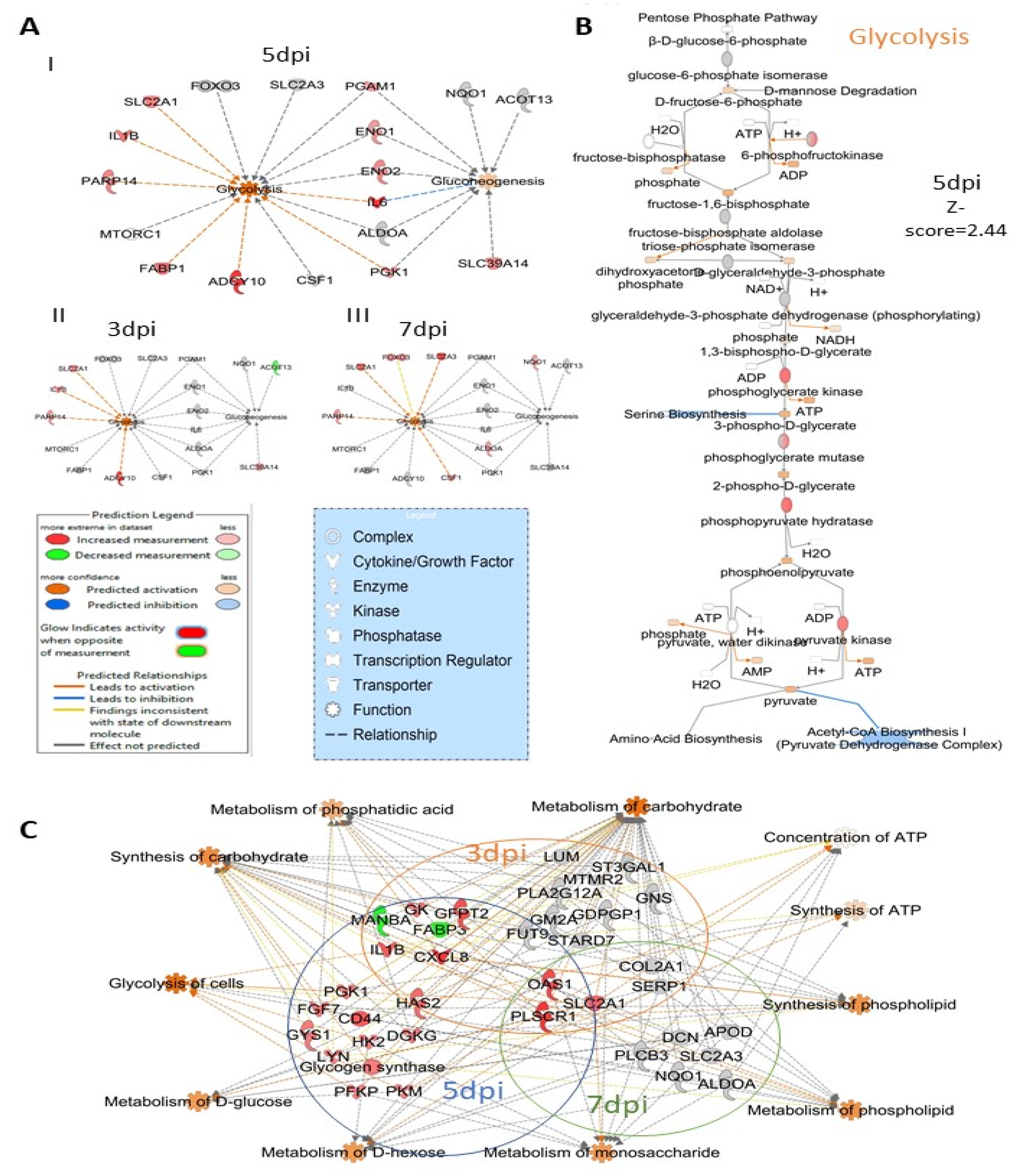 Viruses 14 00377 g007