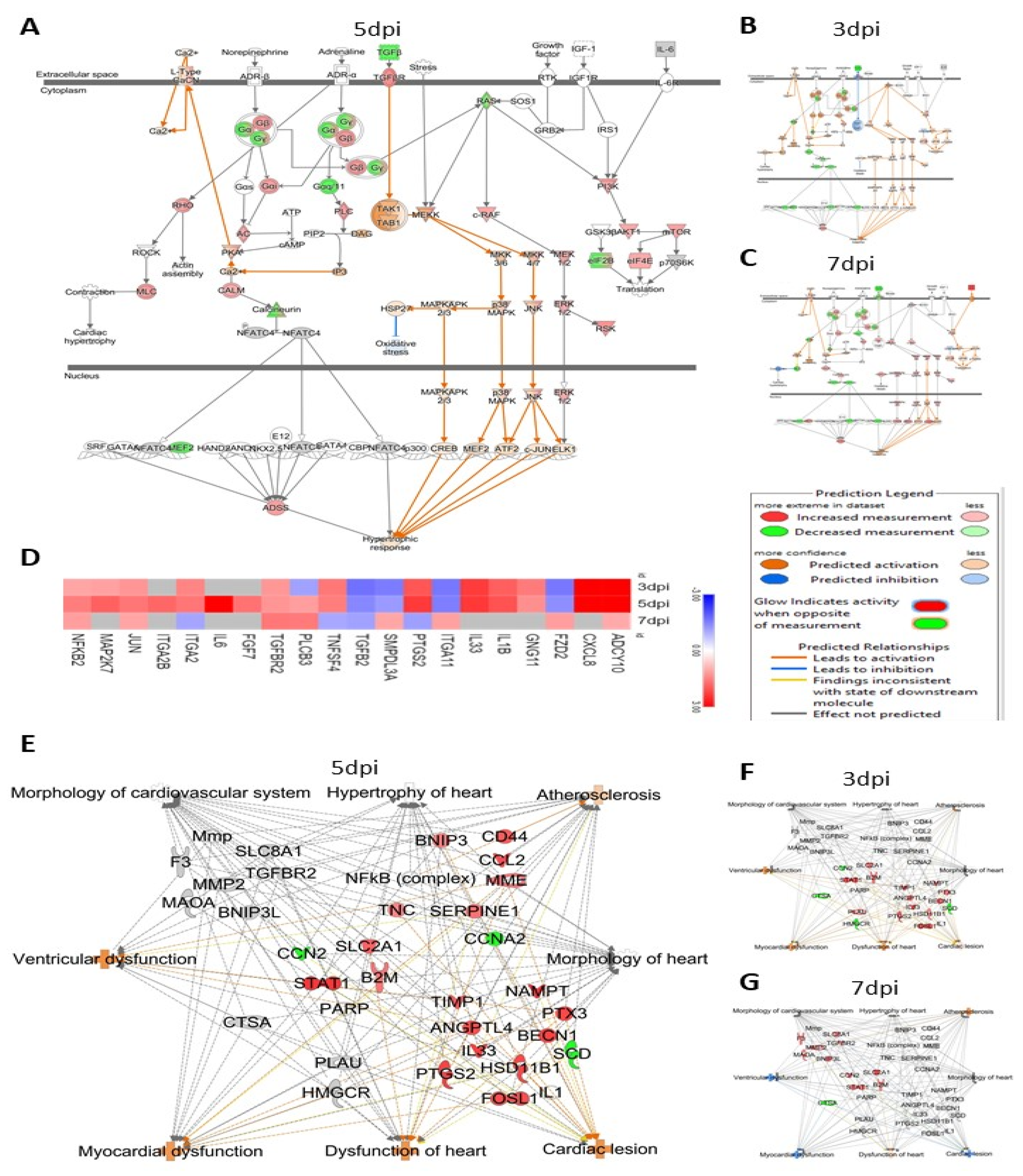 Viruses 14 00377 g008