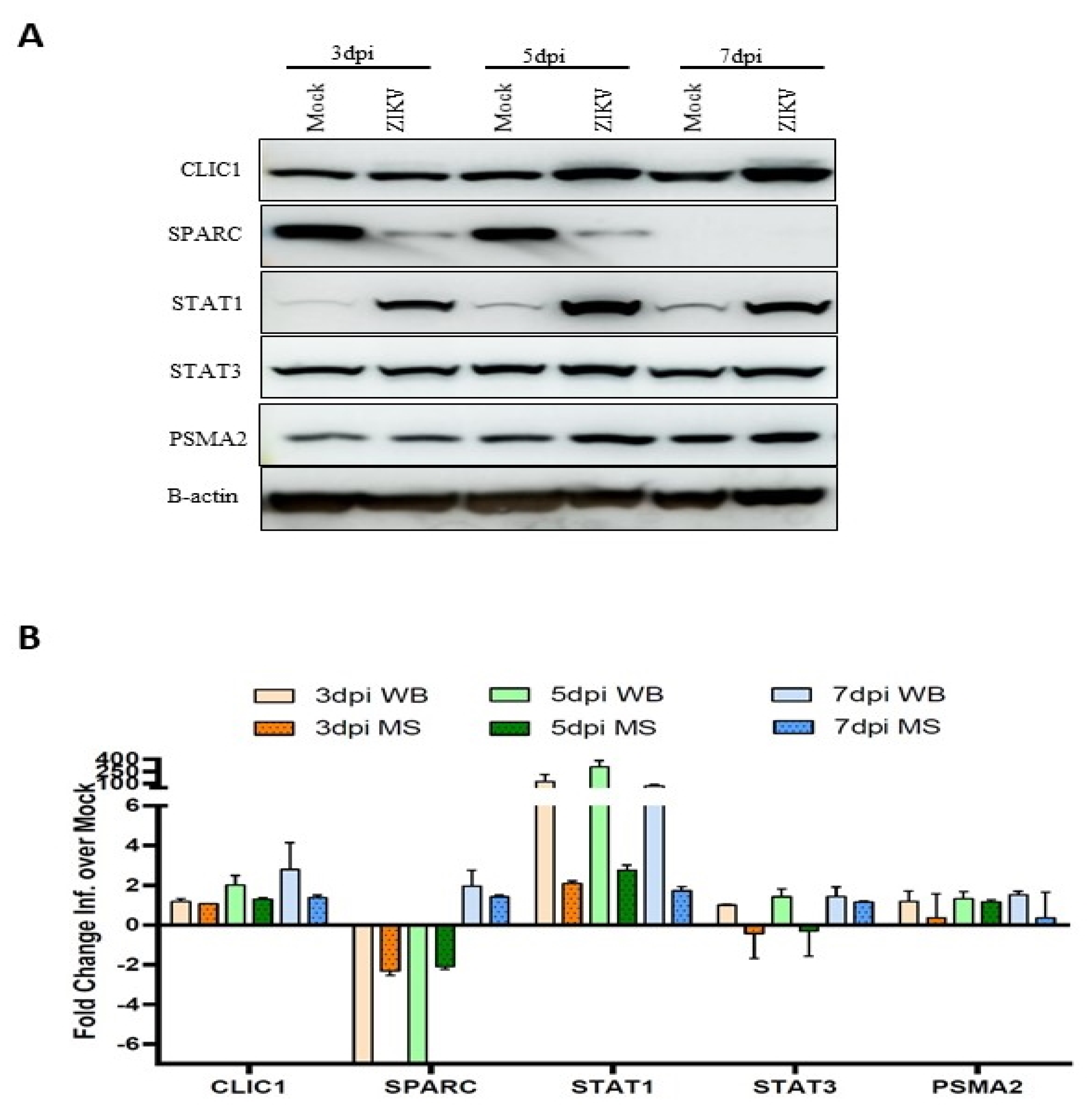 Viruses 14 00377 g009