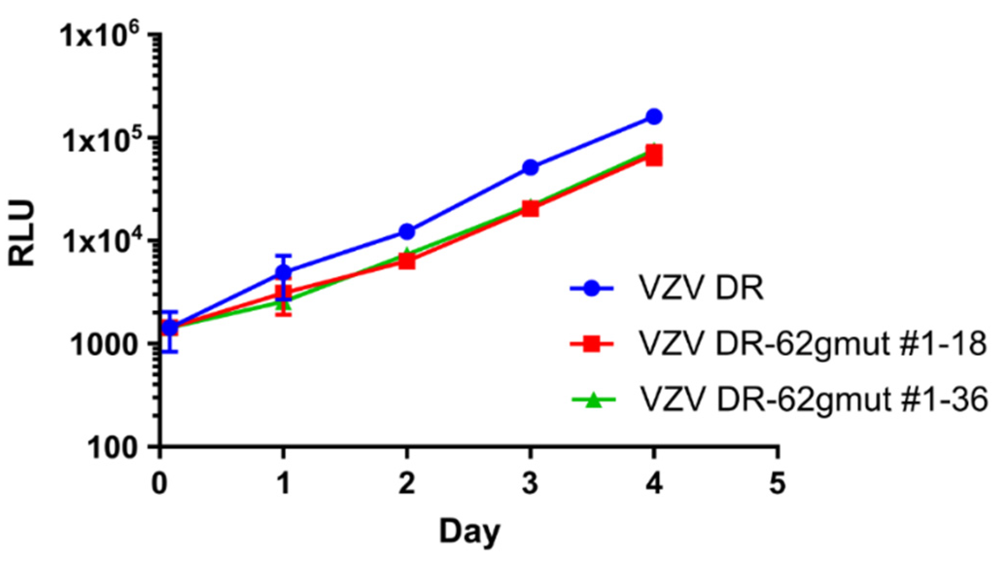Viruses 14 00378 g004