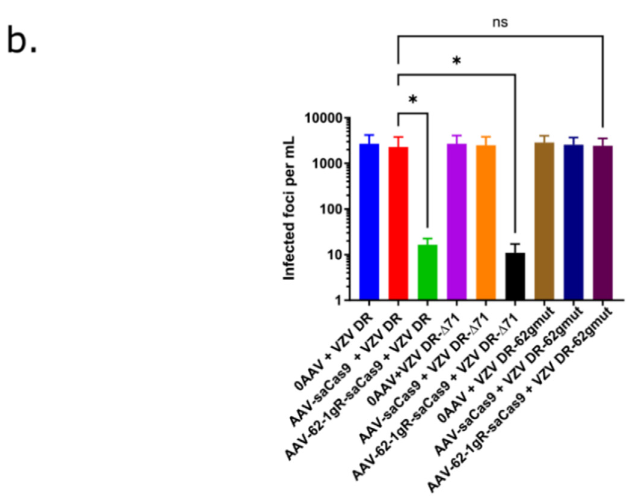 Viruses 14 00378 g005b