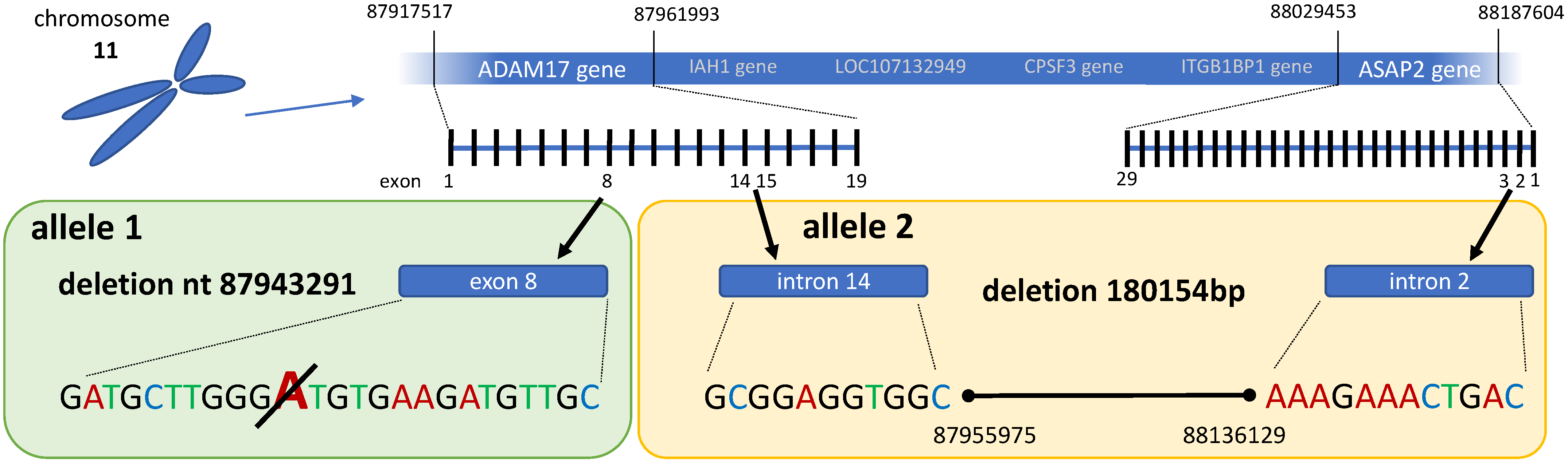Viruses 14 00381 g002