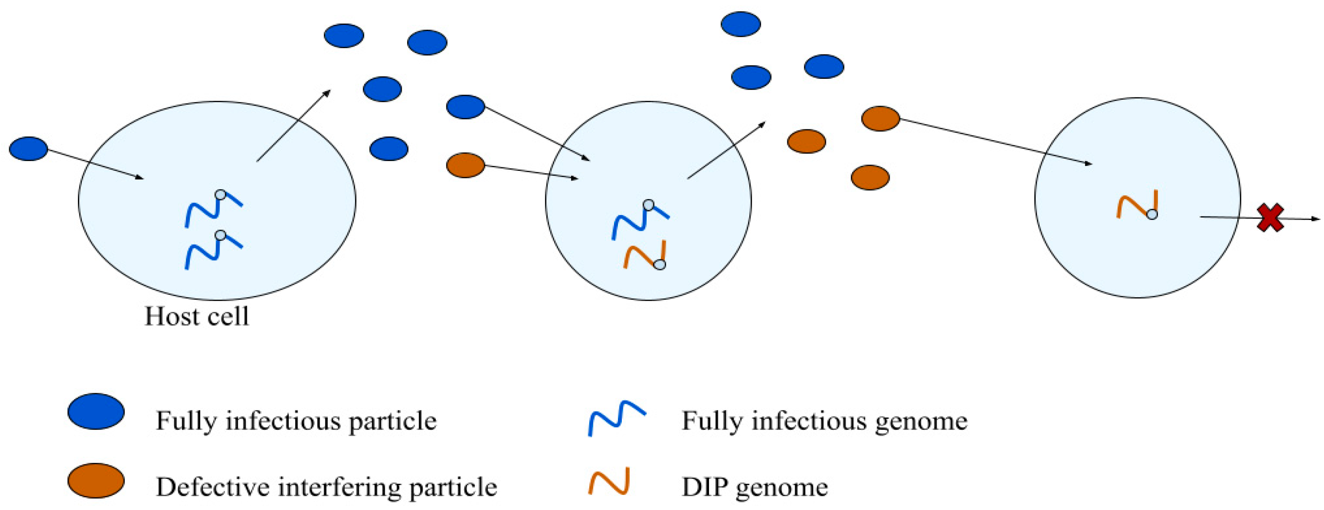 Viruses 14 00383 g003 Viruses 14 00383 g003