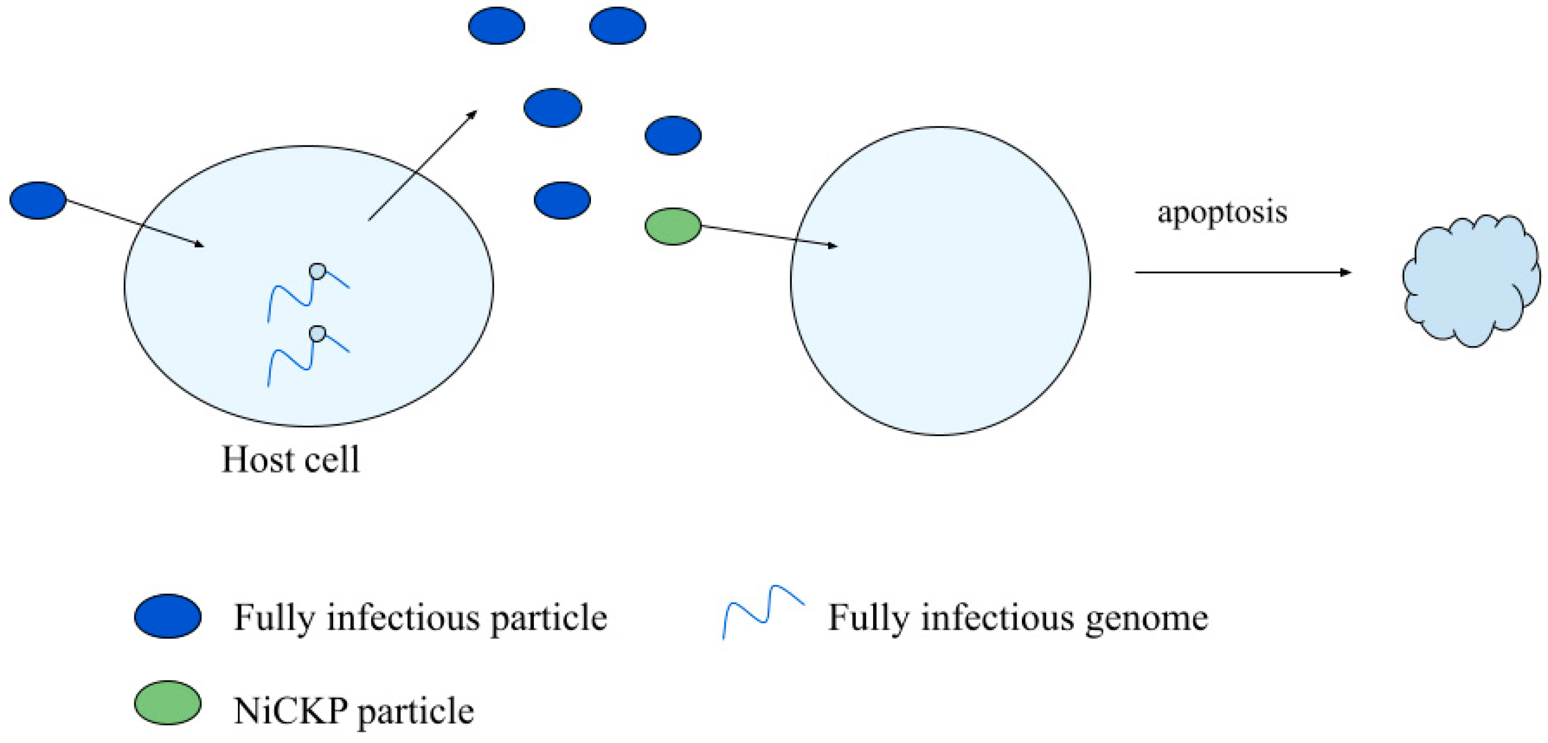Viruses 14 00383 g006 Viruses 14 00383 g006